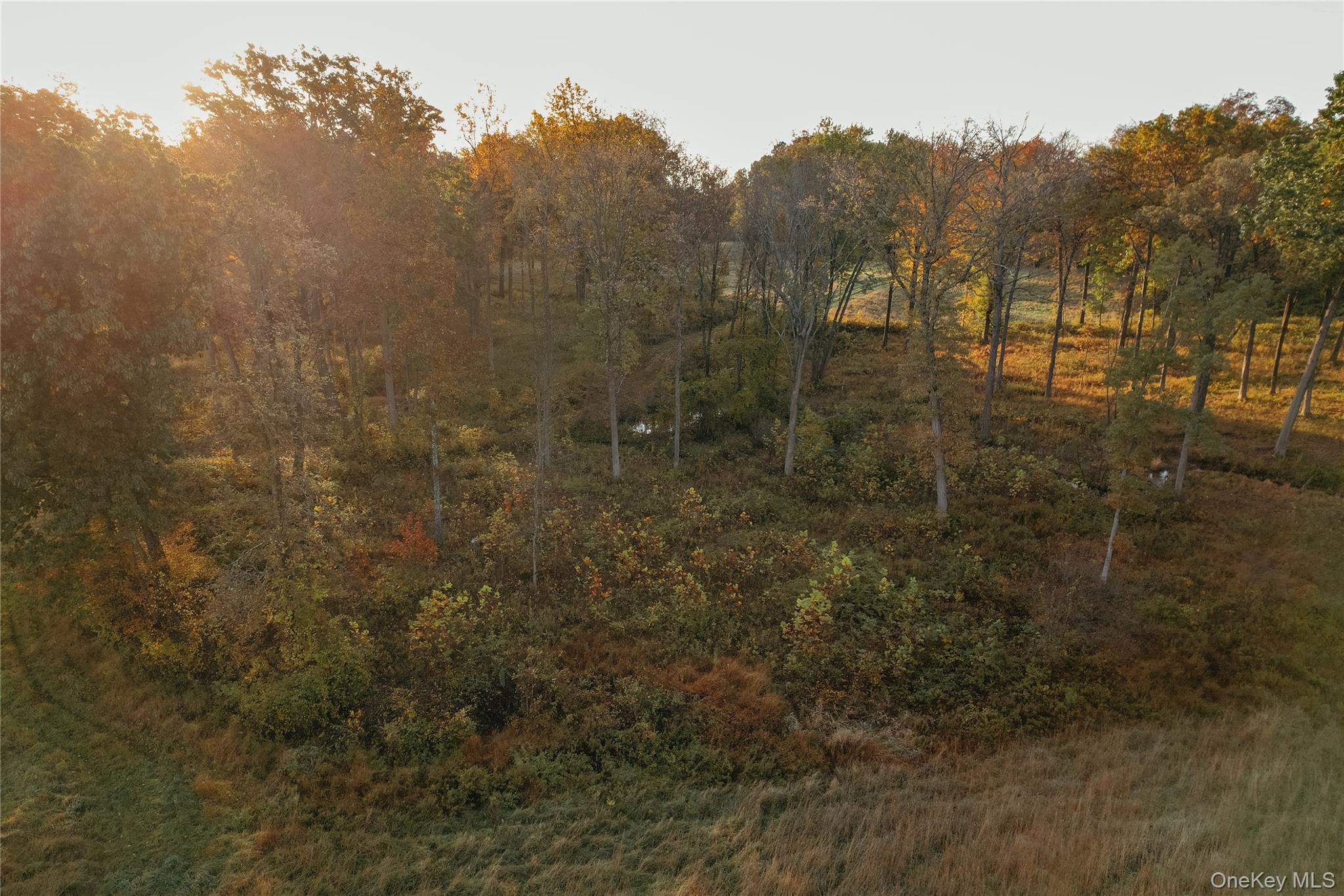 78,79 Fox Lane, Tivoli, NY 12583