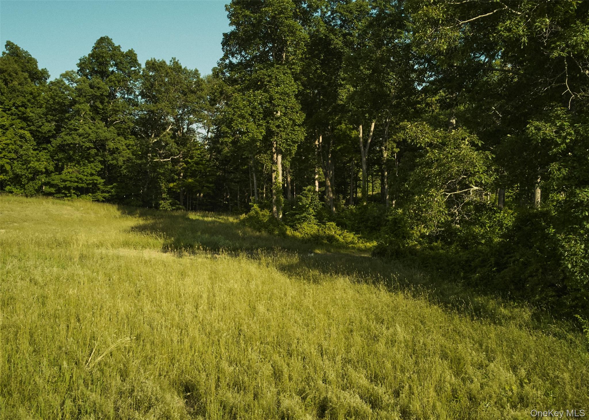 78,79 Fox Lane, Tivoli, NY 12583