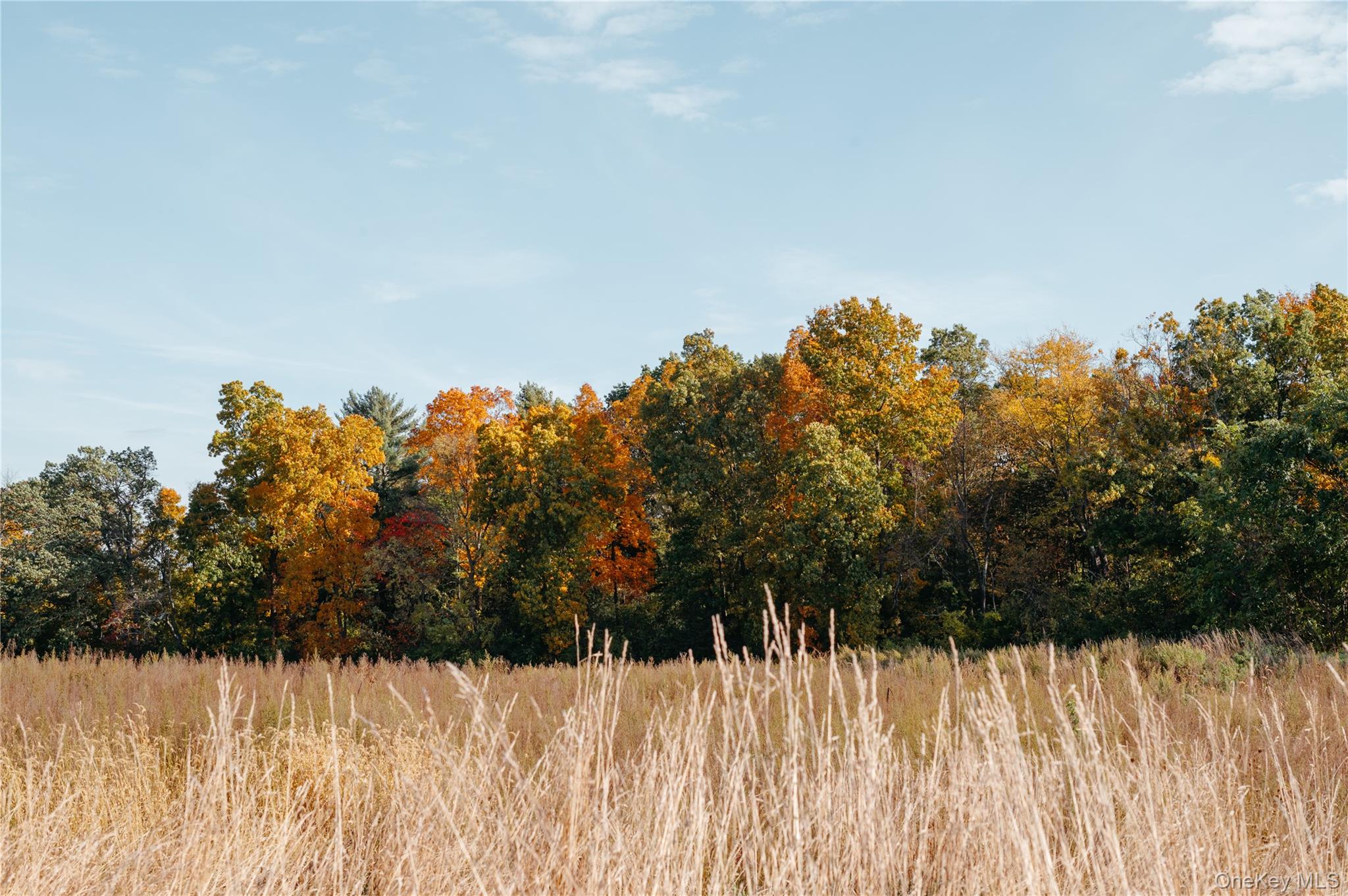 78,79 Fox Lane, Tivoli, NY 12583