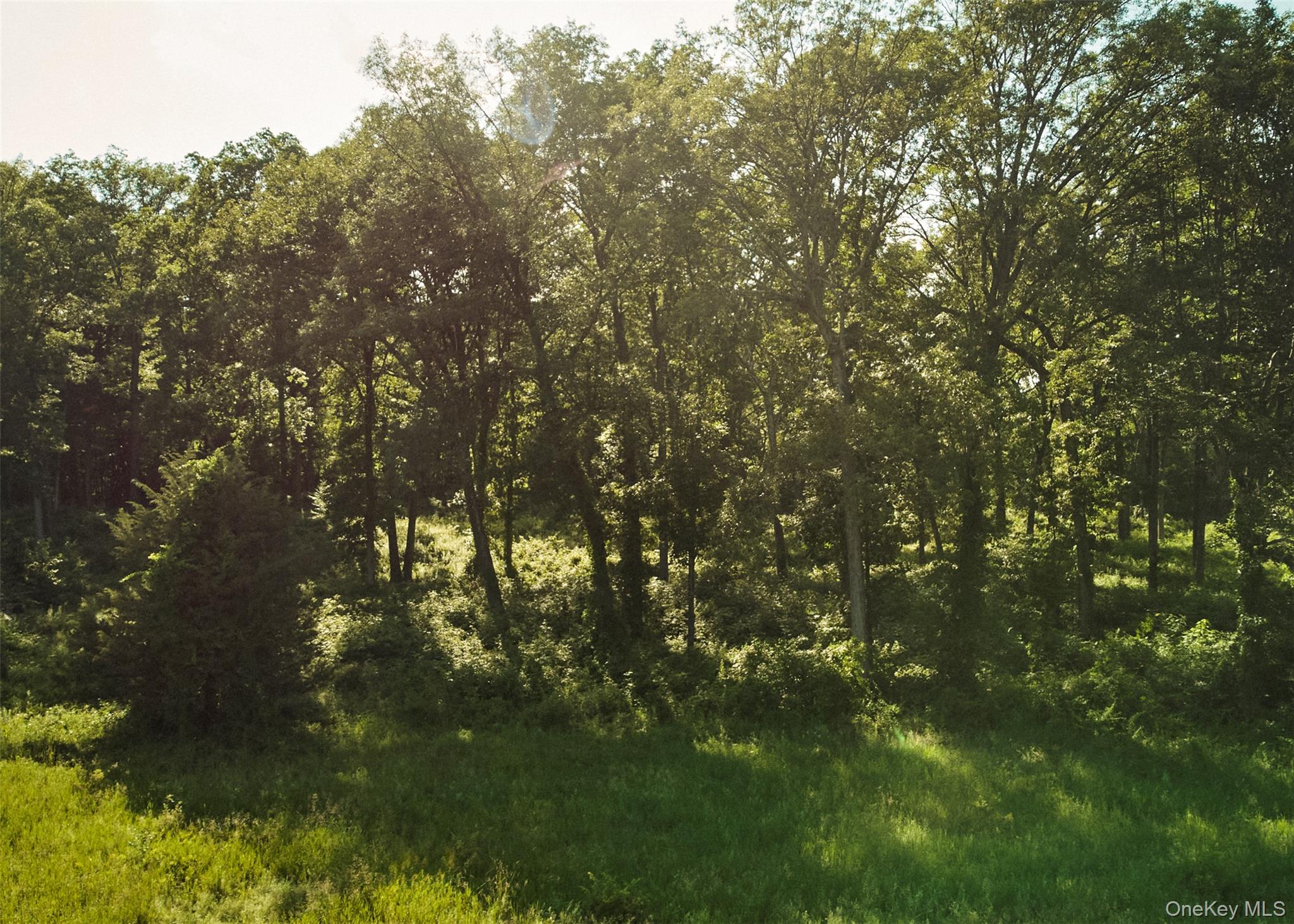 78,79 Fox Lane, Tivoli, NY 12583