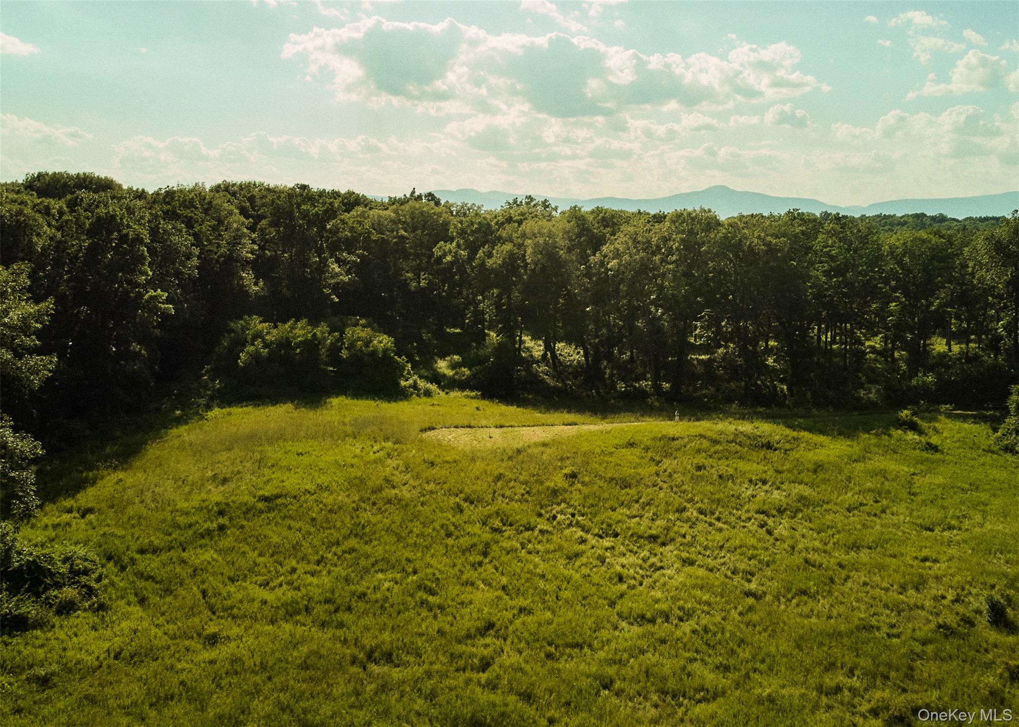 78,79 Fox Lane, Tivoli, NY 12583