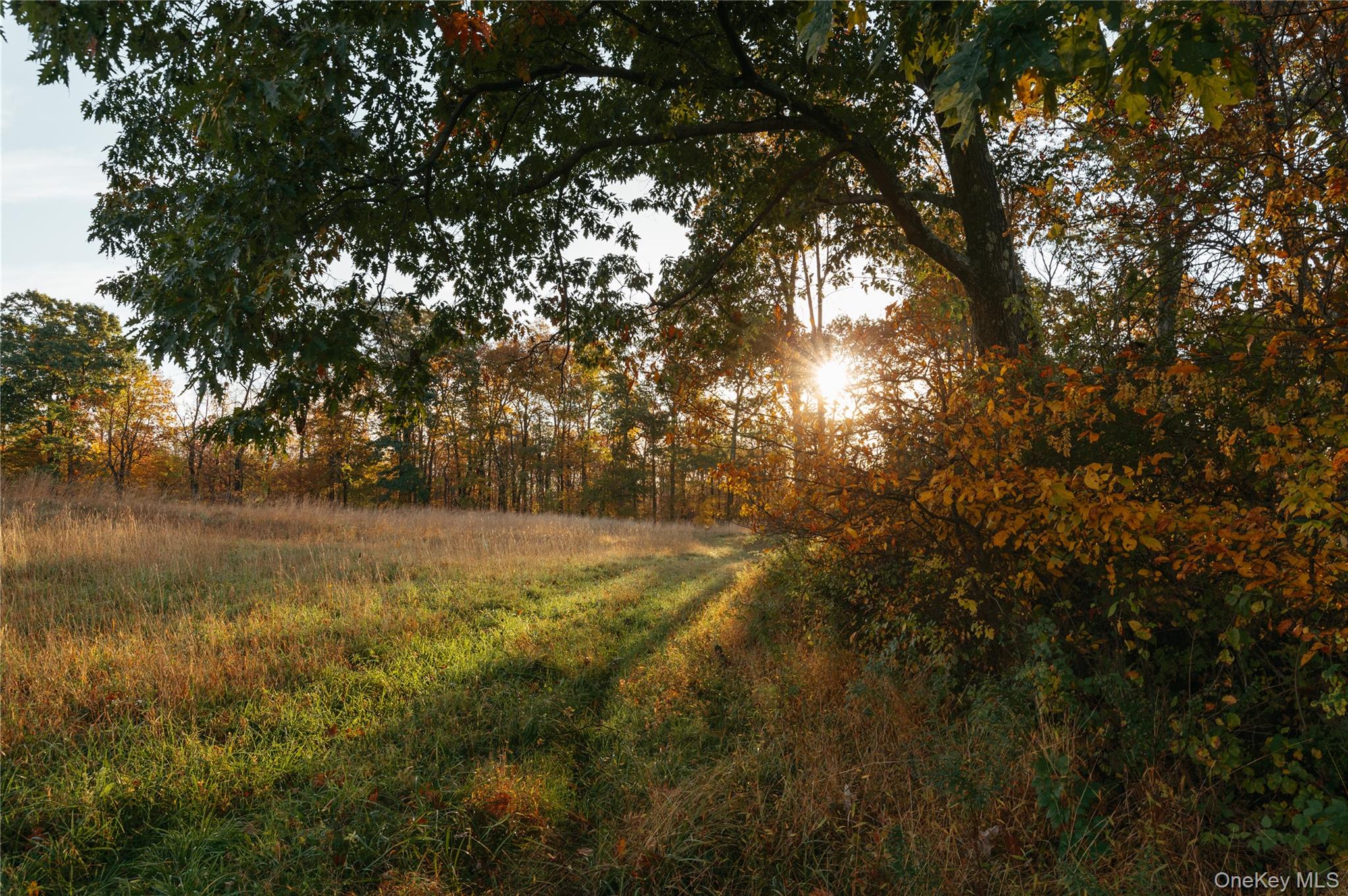 78,79 Fox Lane, Tivoli, NY 12583