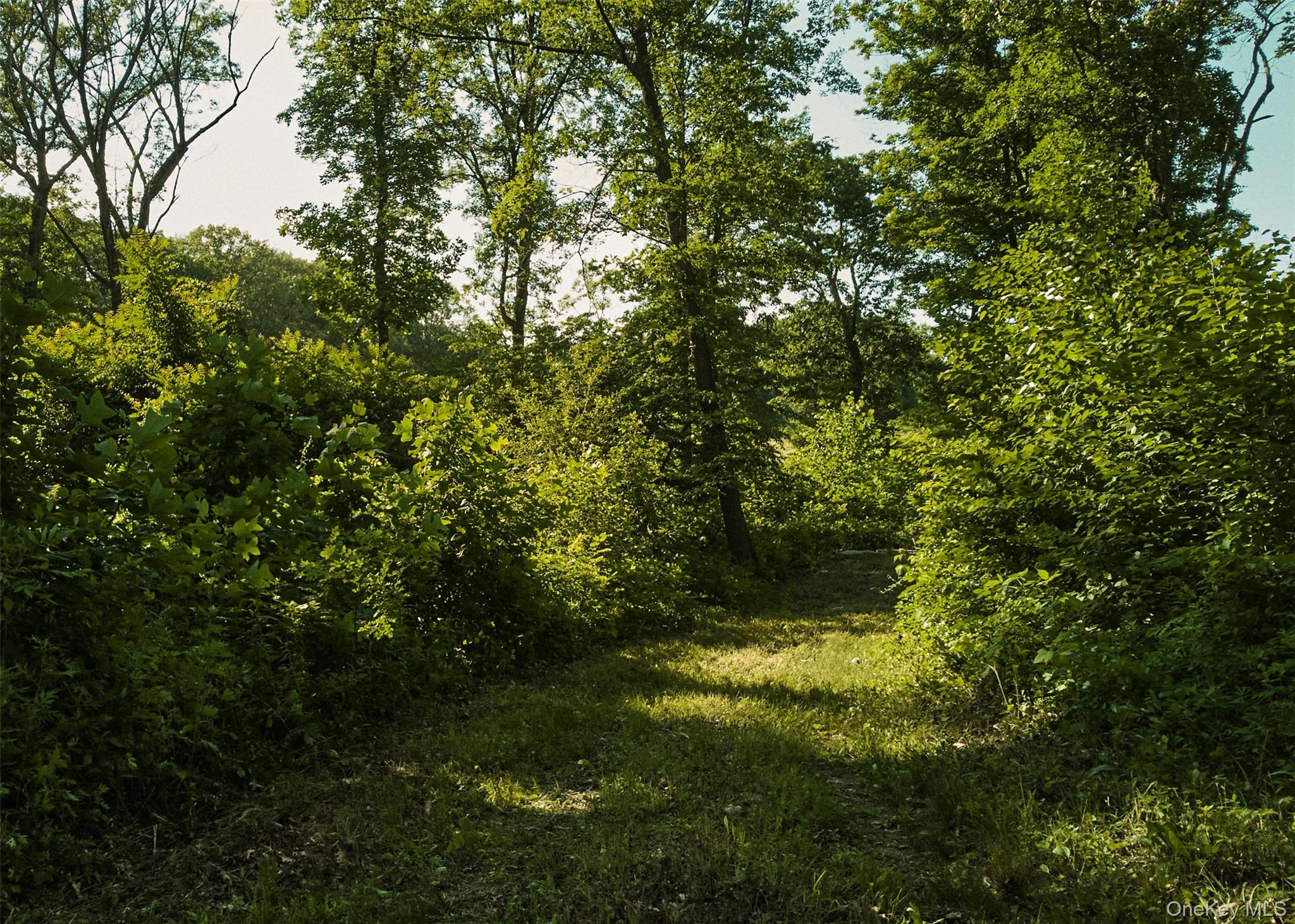 78,79 Fox Lane, Tivoli, NY 12583