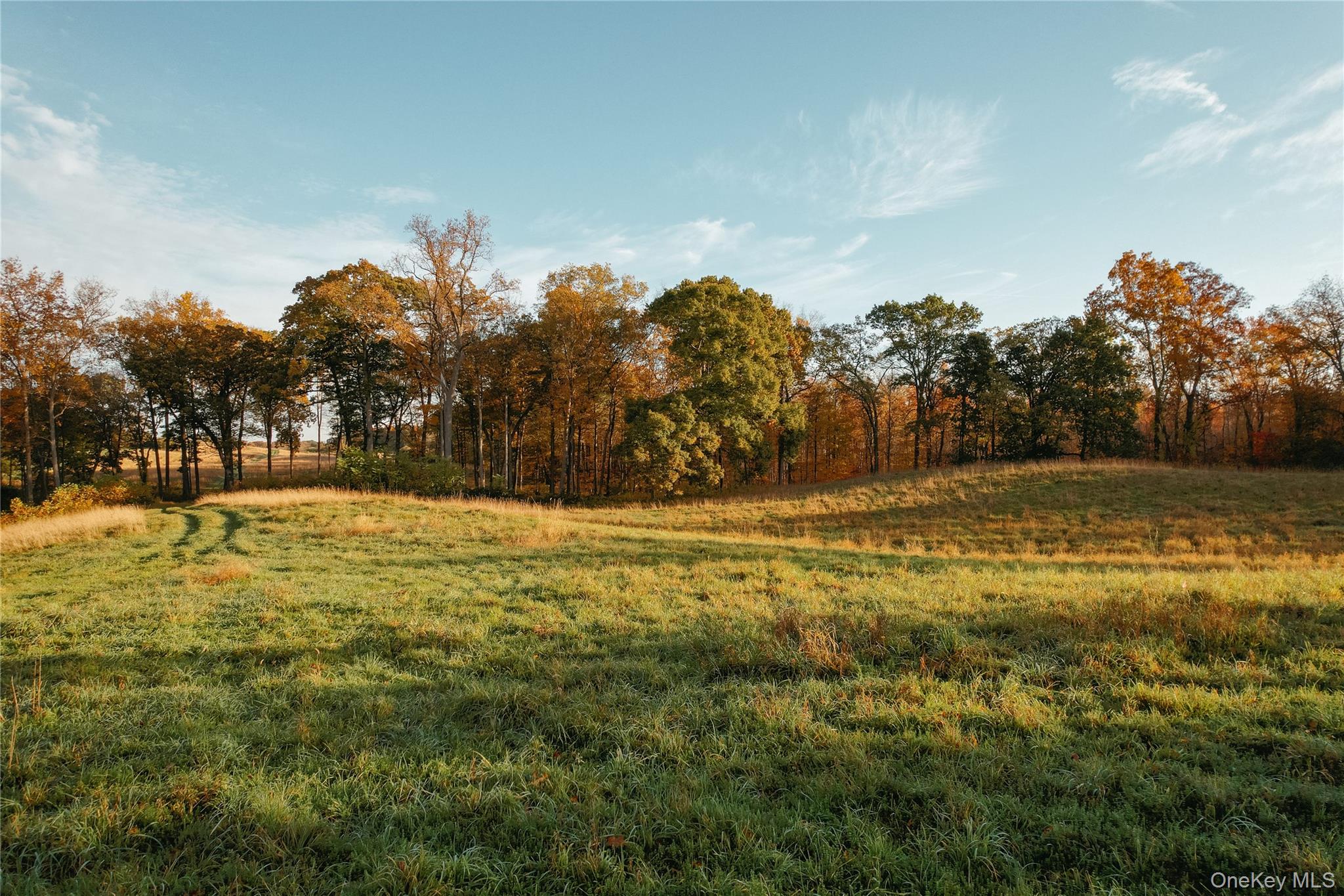 78,79 Fox Lane, Tivoli, NY 12583