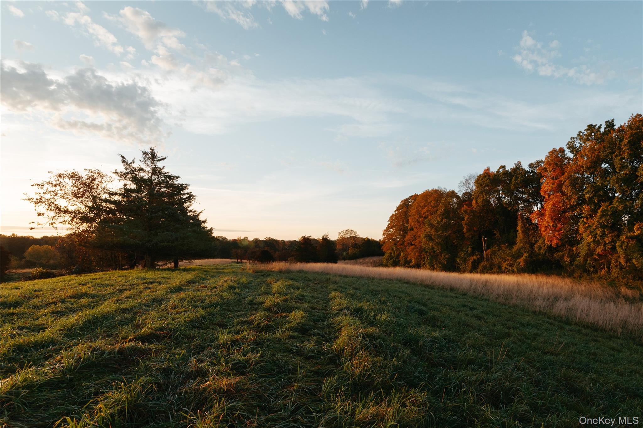 78,79 Fox Lane, Tivoli, NY 12583