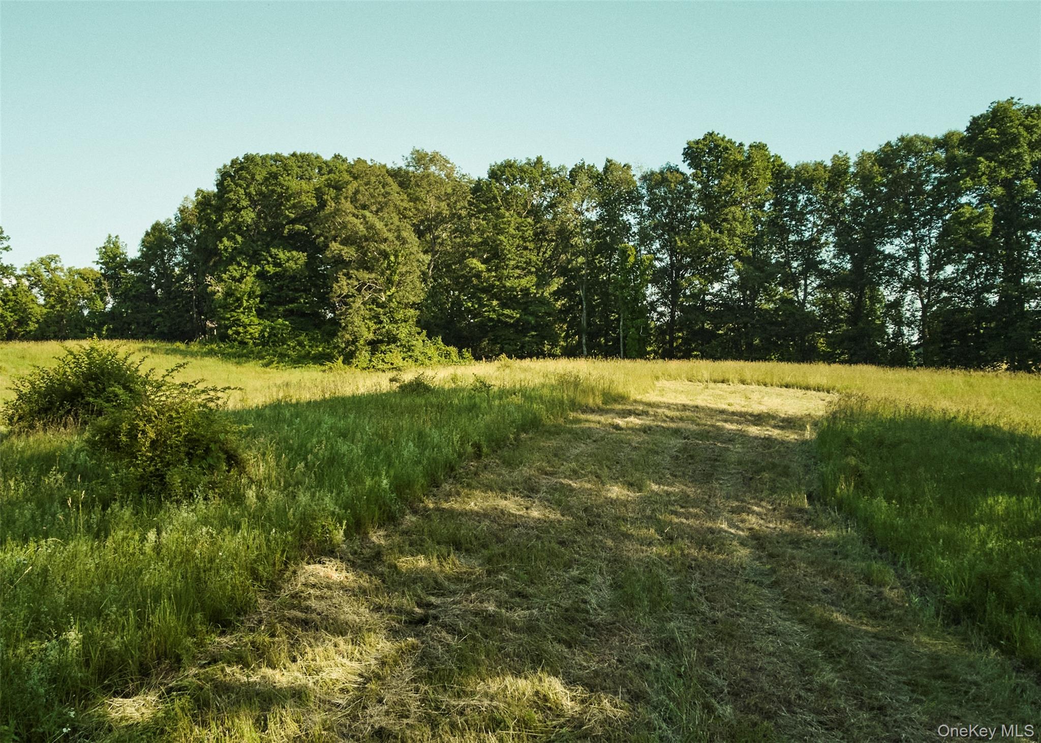 78,79 Fox Lane, Tivoli, NY 12583