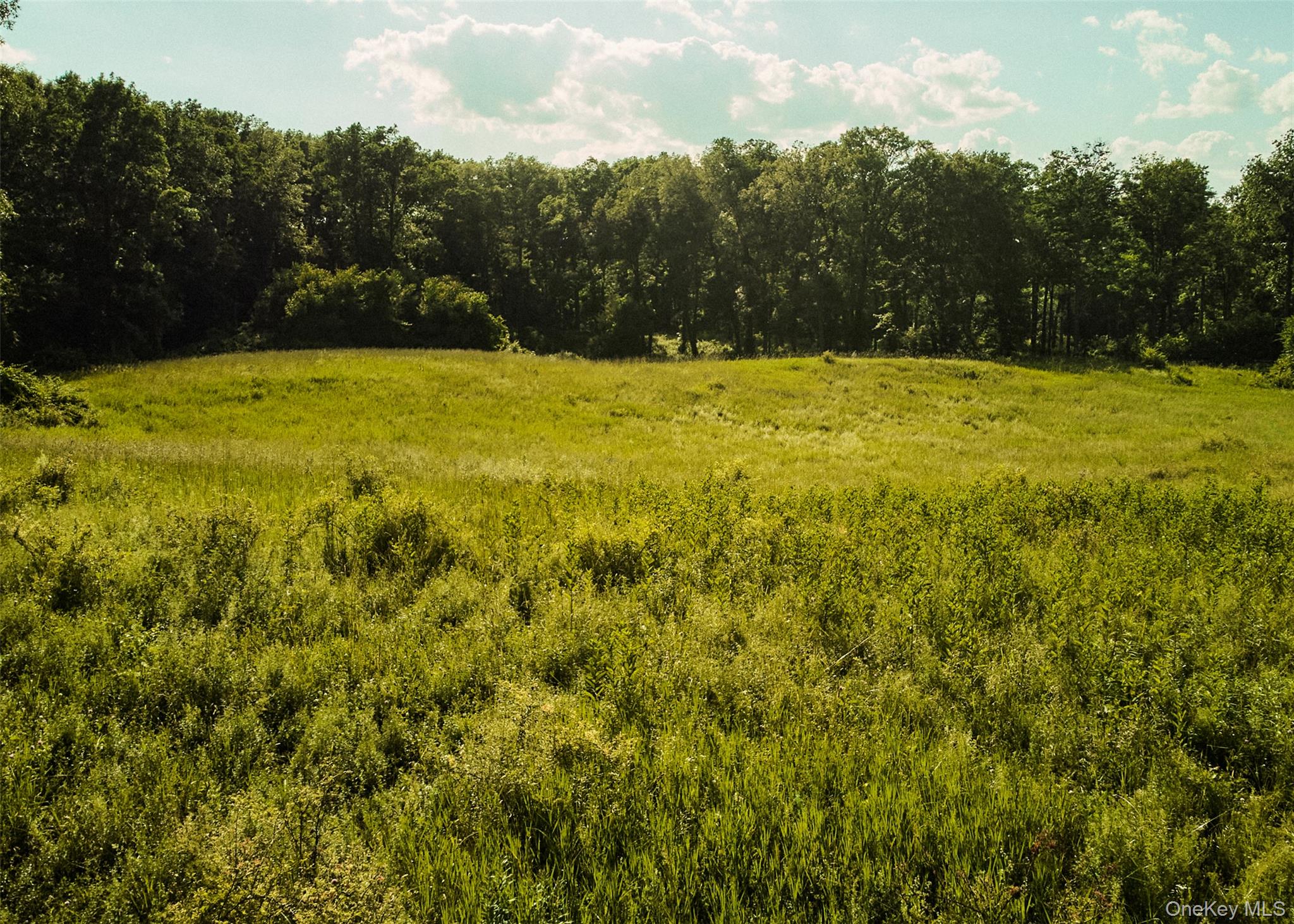 78,79 Fox Lane, Tivoli, NY 12583