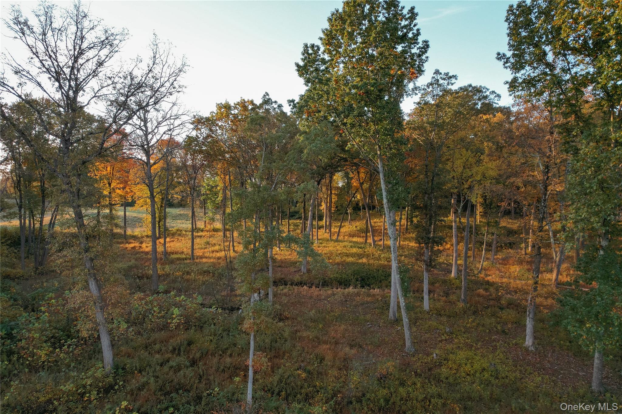 78,79 Fox Lane, Tivoli, NY 12583