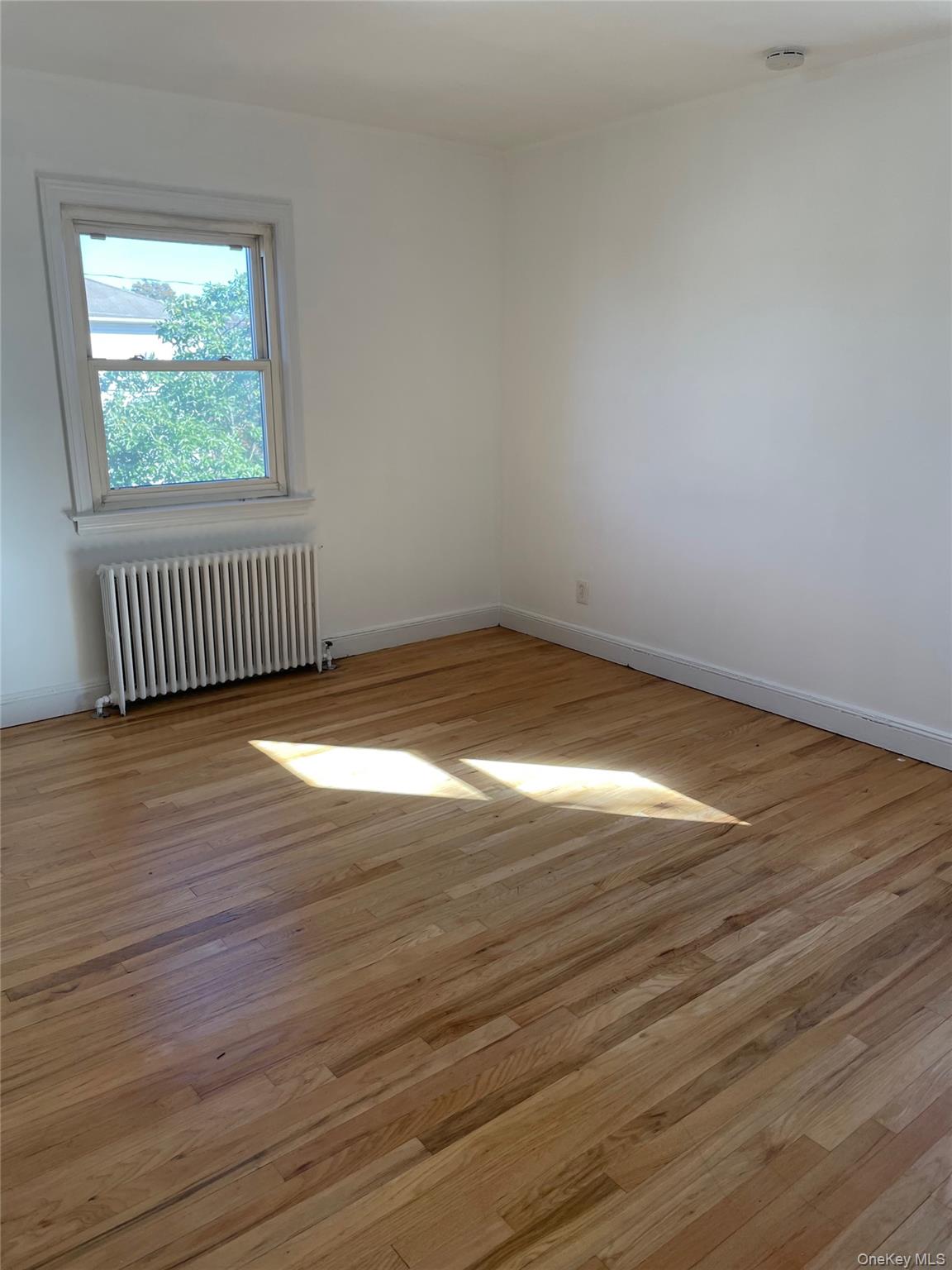 49 Central Avenue # 2nd Fl, Westbury, NY 11590