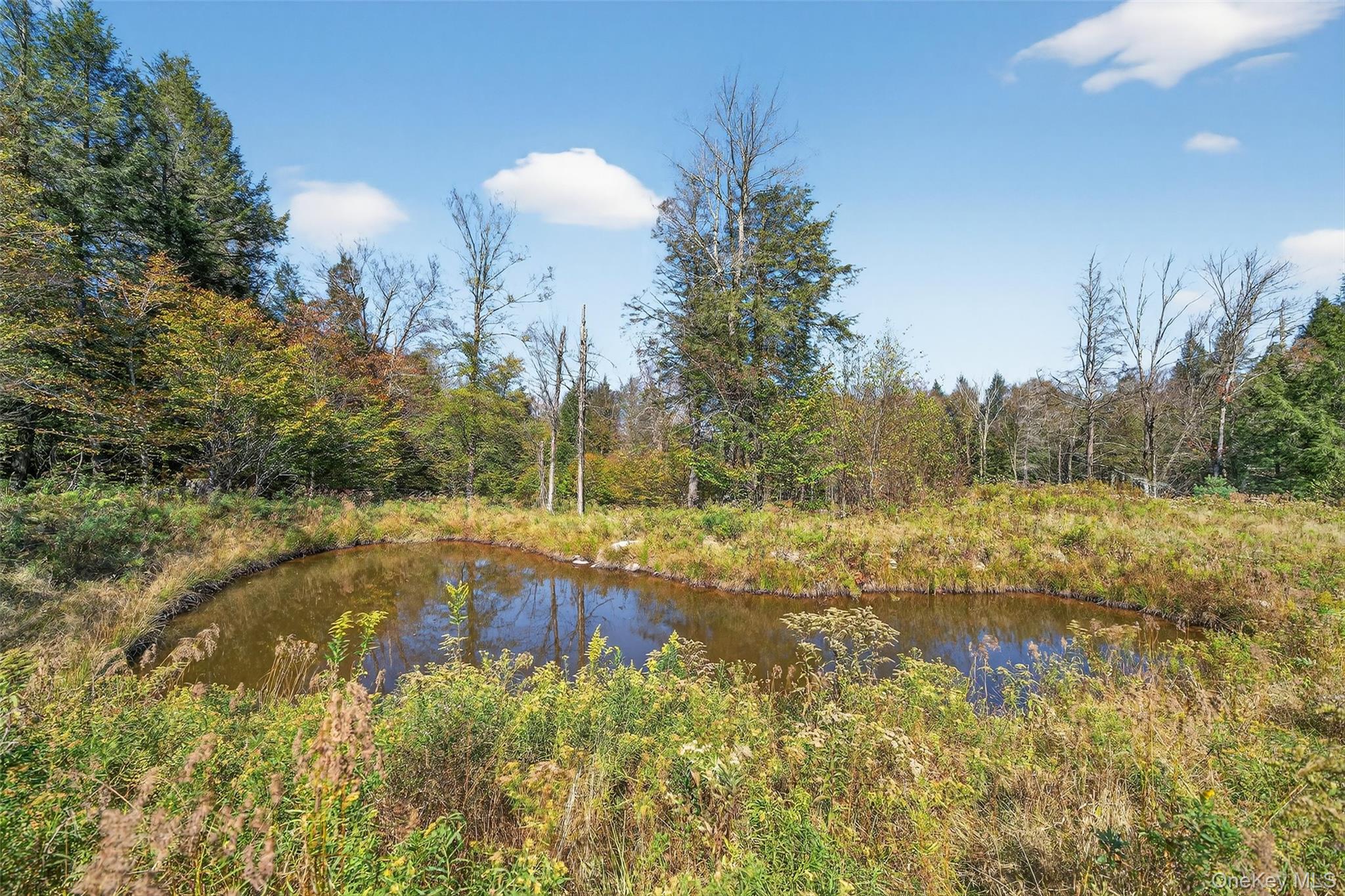 TBD Black Bear Crossing, Parksville, NY 12768