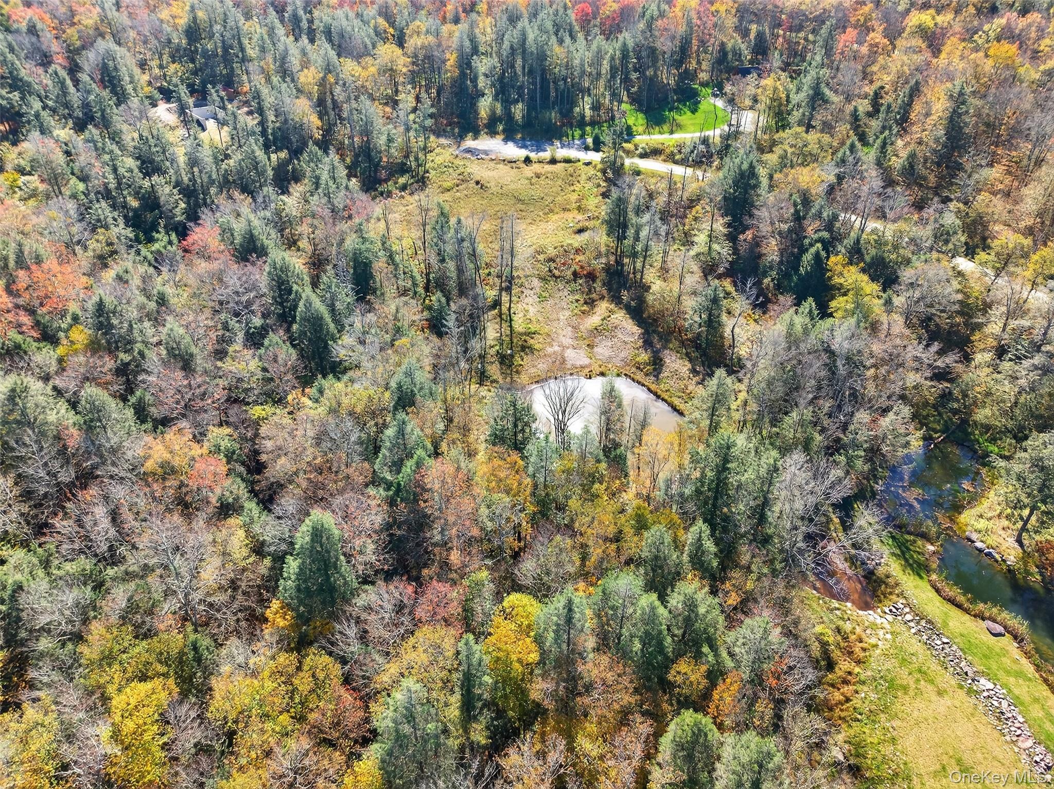 TBD Black Bear Crossing, Parksville, NY 12768