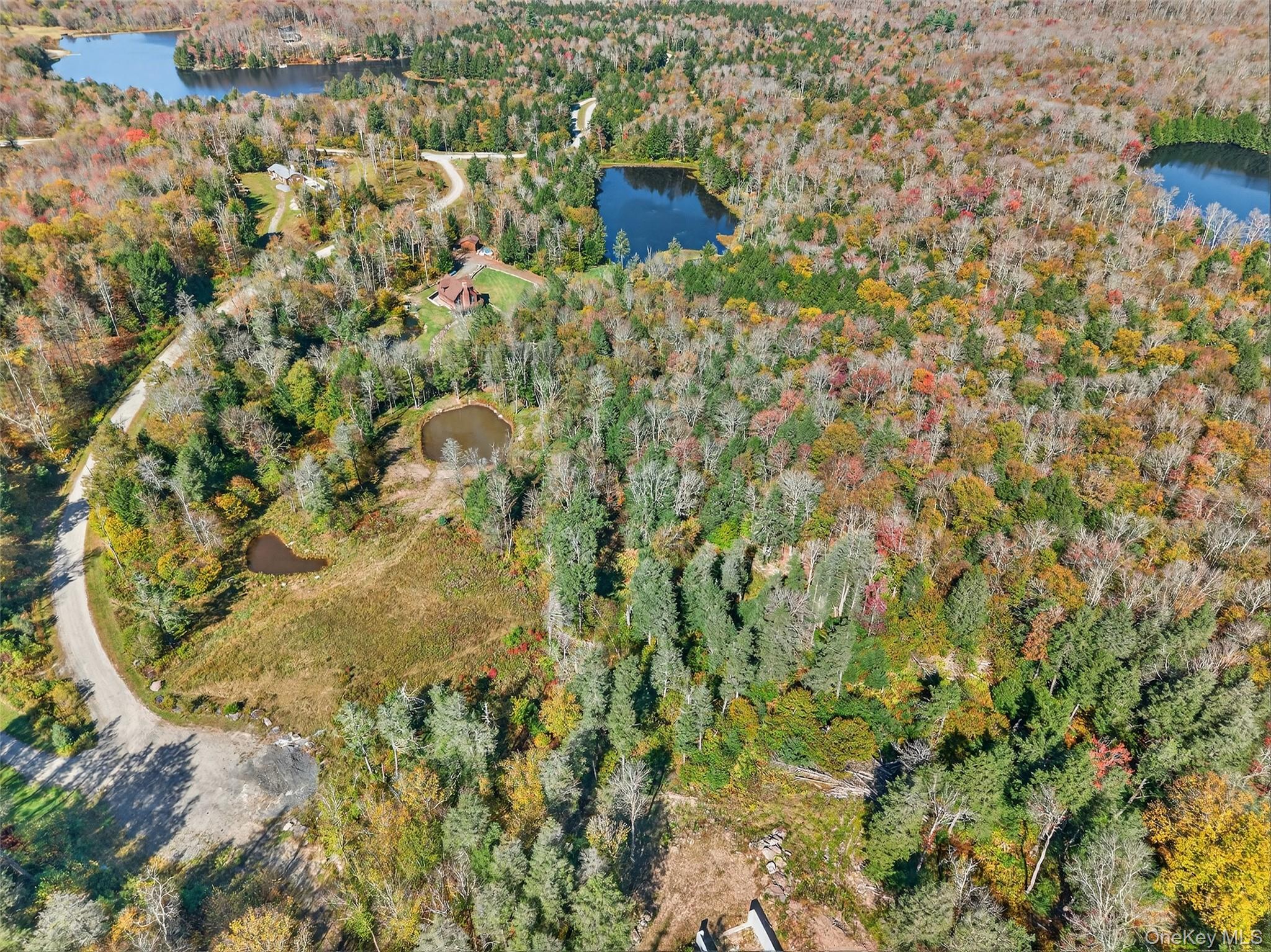 TBD Black Bear Crossing, Parksville, NY 12768