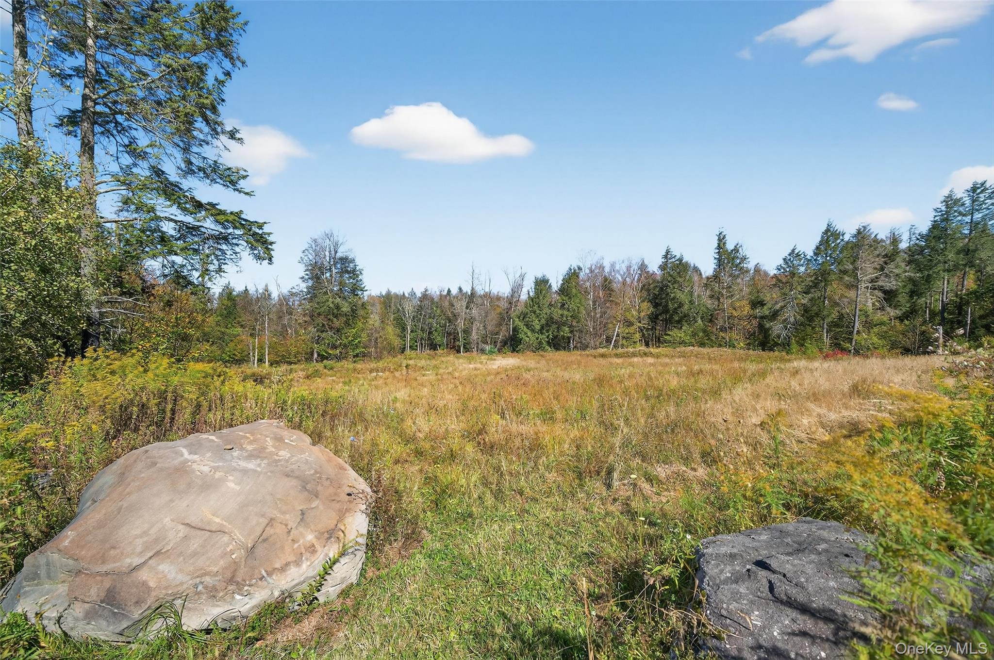 TBD Black Bear Crossing, Parksville, NY 12768