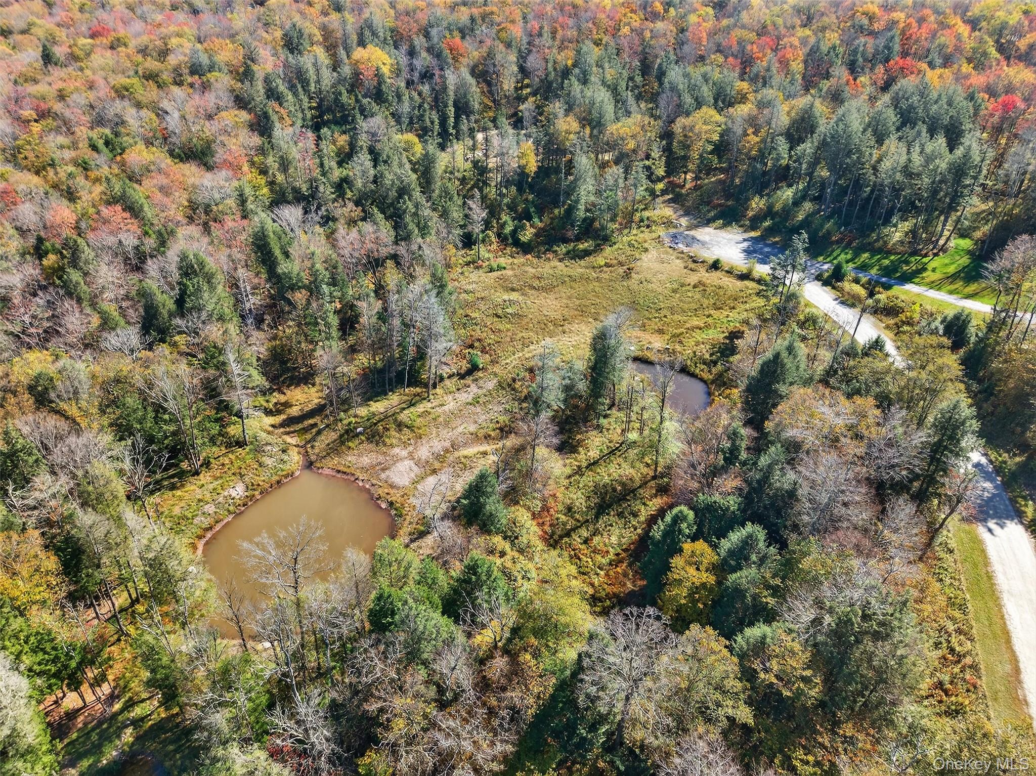 TBD Black Bear Crossing, Parksville, NY 12768