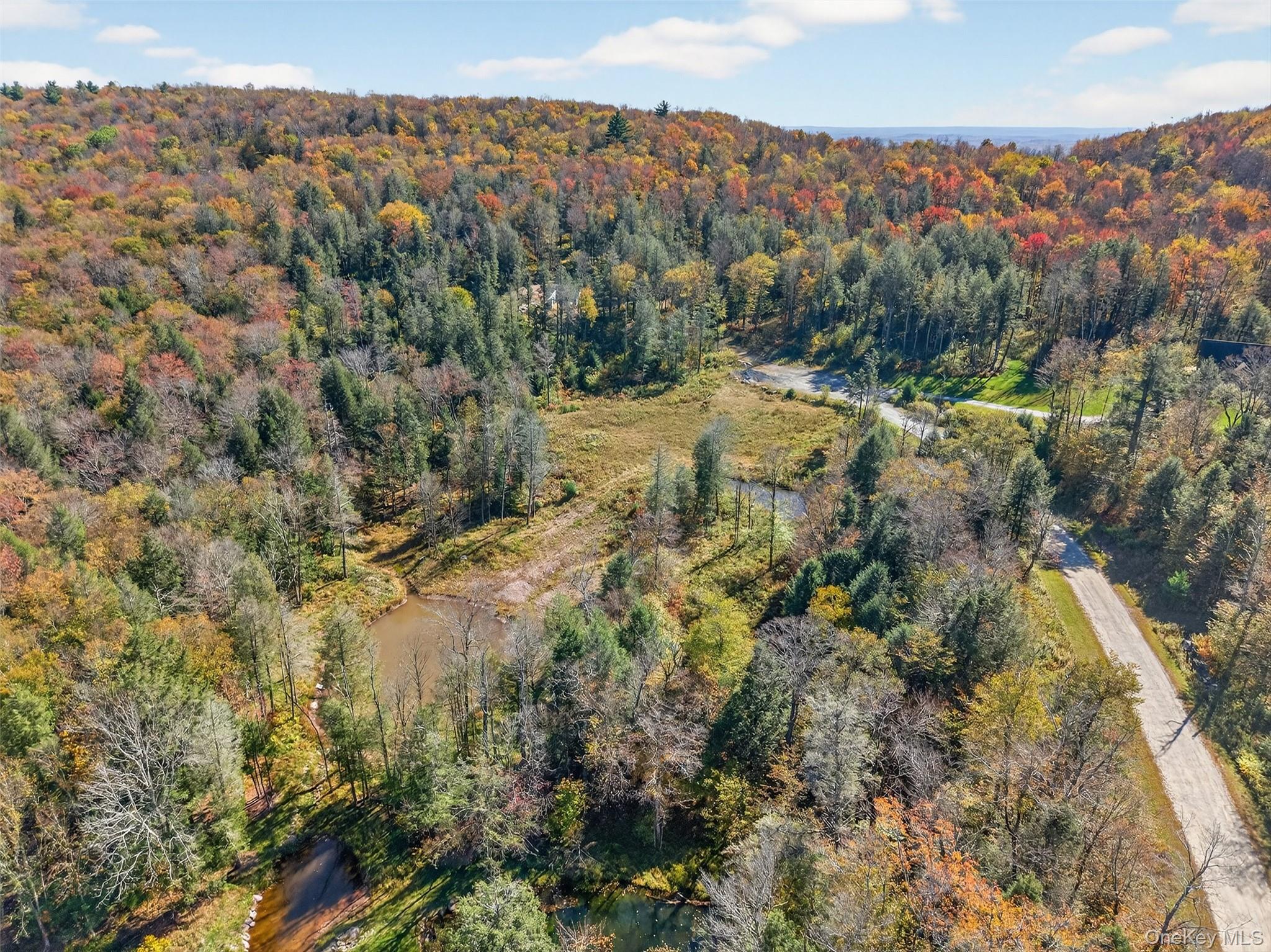 TBD Black Bear Crossing, Parksville, NY 12768