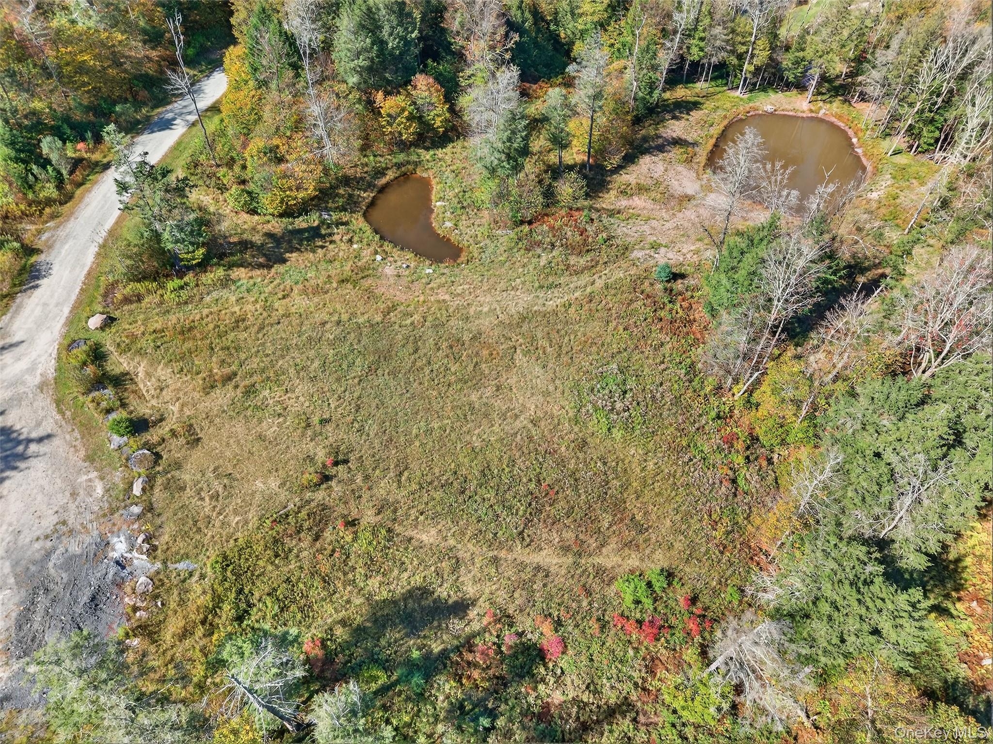 TBD Black Bear Crossing, Parksville, NY 12768