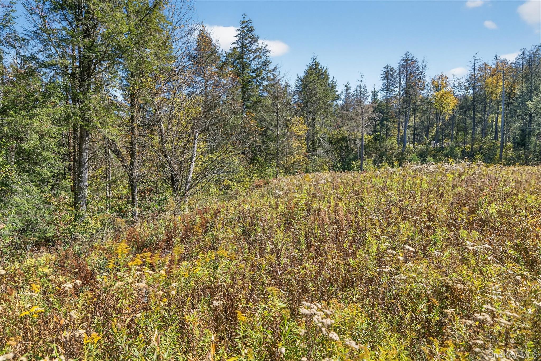 TBD Black Bear Crossing, Parksville, NY 12768