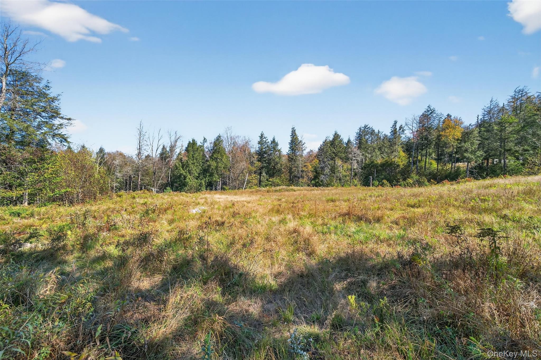 TBD Black Bear Crossing, Parksville, NY 12768