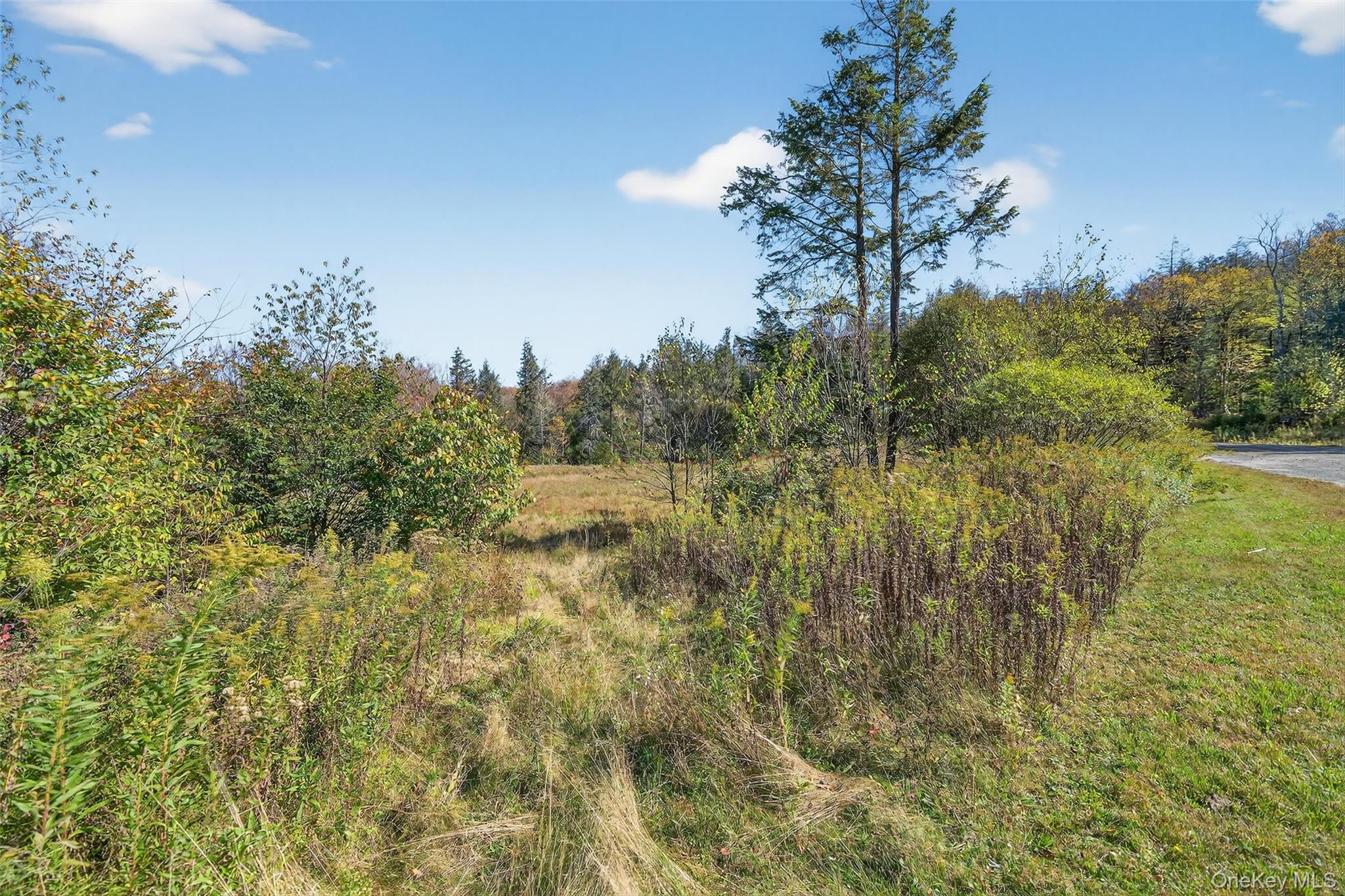 TBD Black Bear Crossing, Parksville, NY 12768