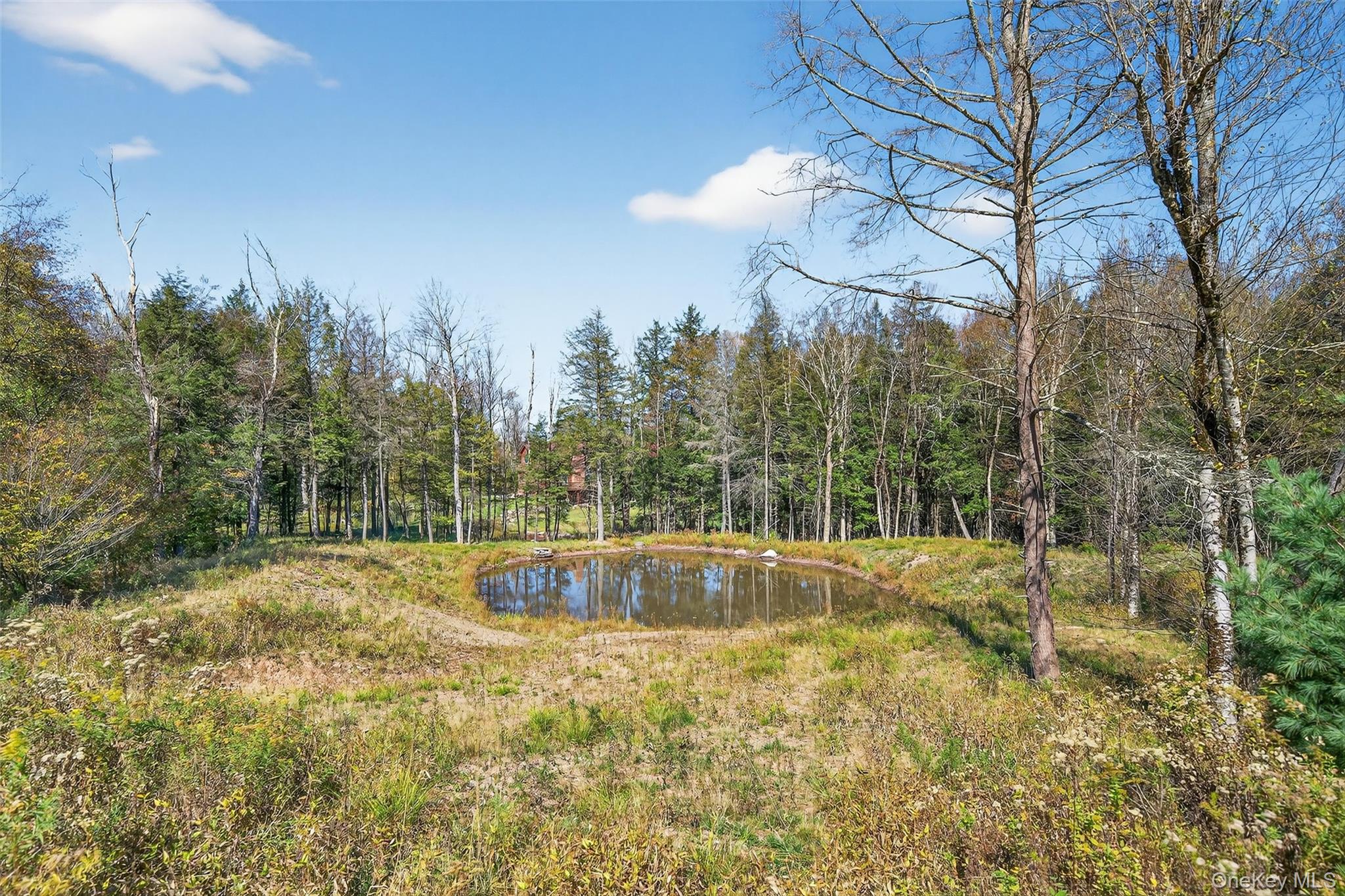 TBD Black Bear Crossing, Parksville, NY 12768