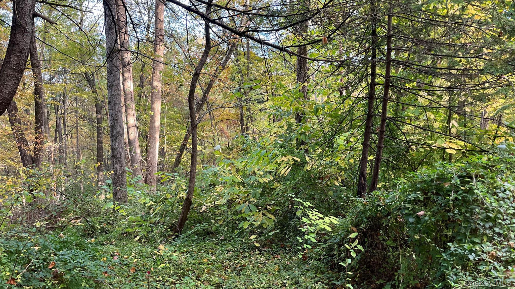 407 Swartekill Road, Highland, NY 12528