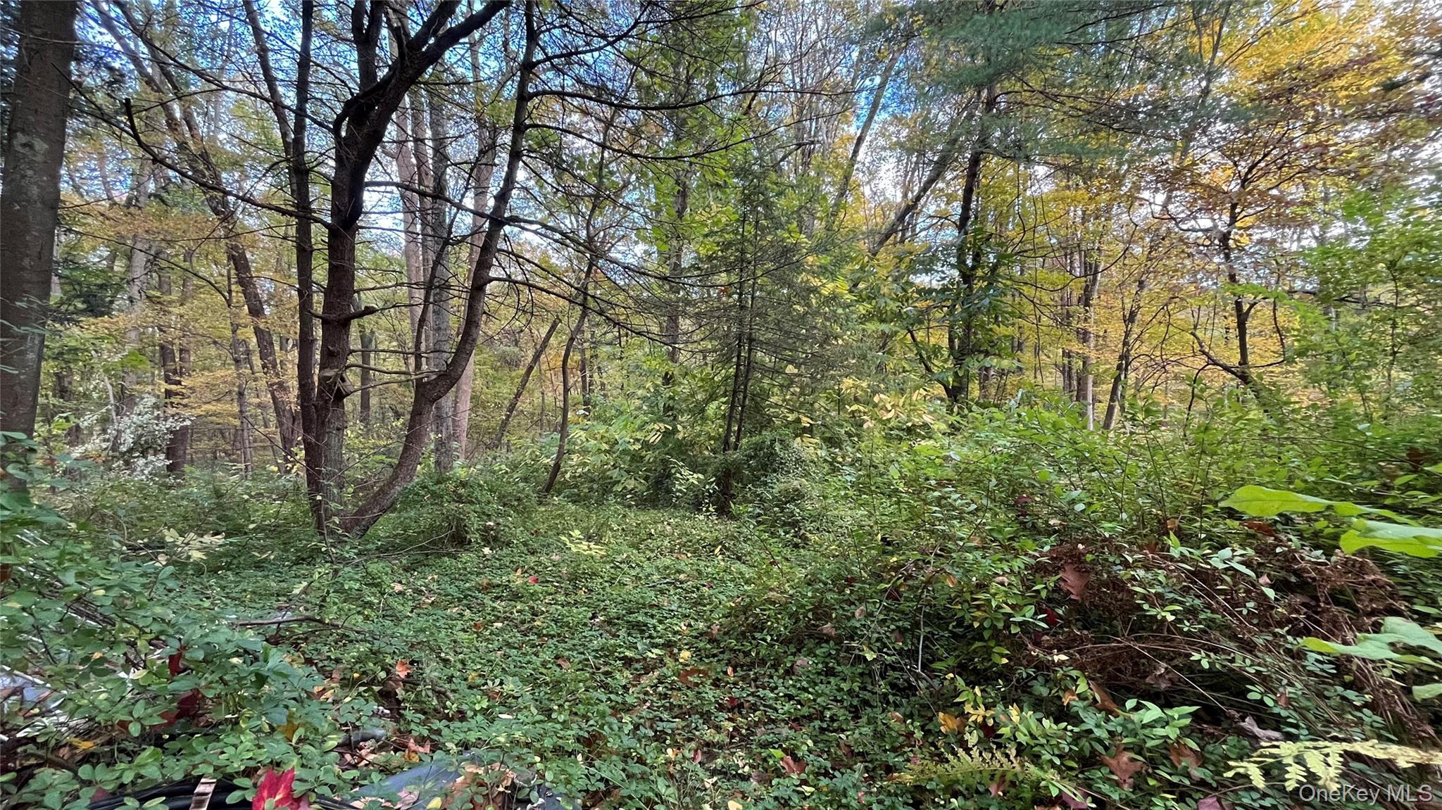 407 Swartekill Road, Highland, NY 12528