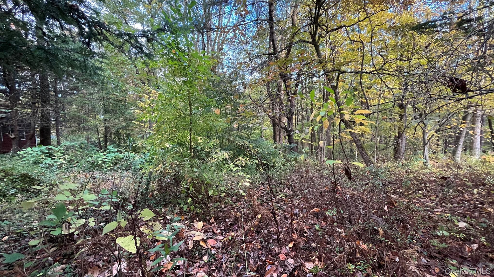 407 Swartekill Road, Highland, NY 12528