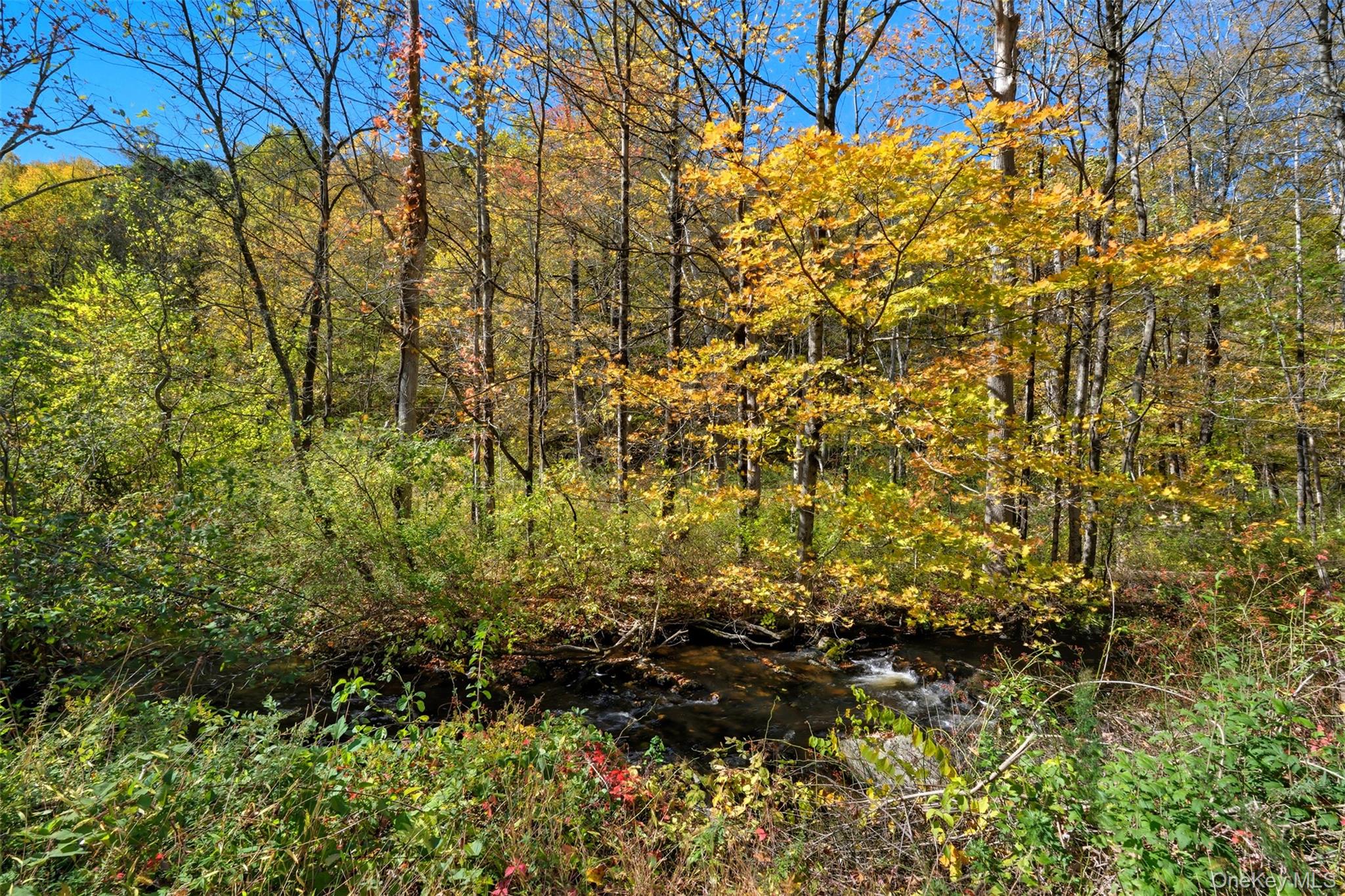 Wiccopee Road, Putnam Valley, NY 10579