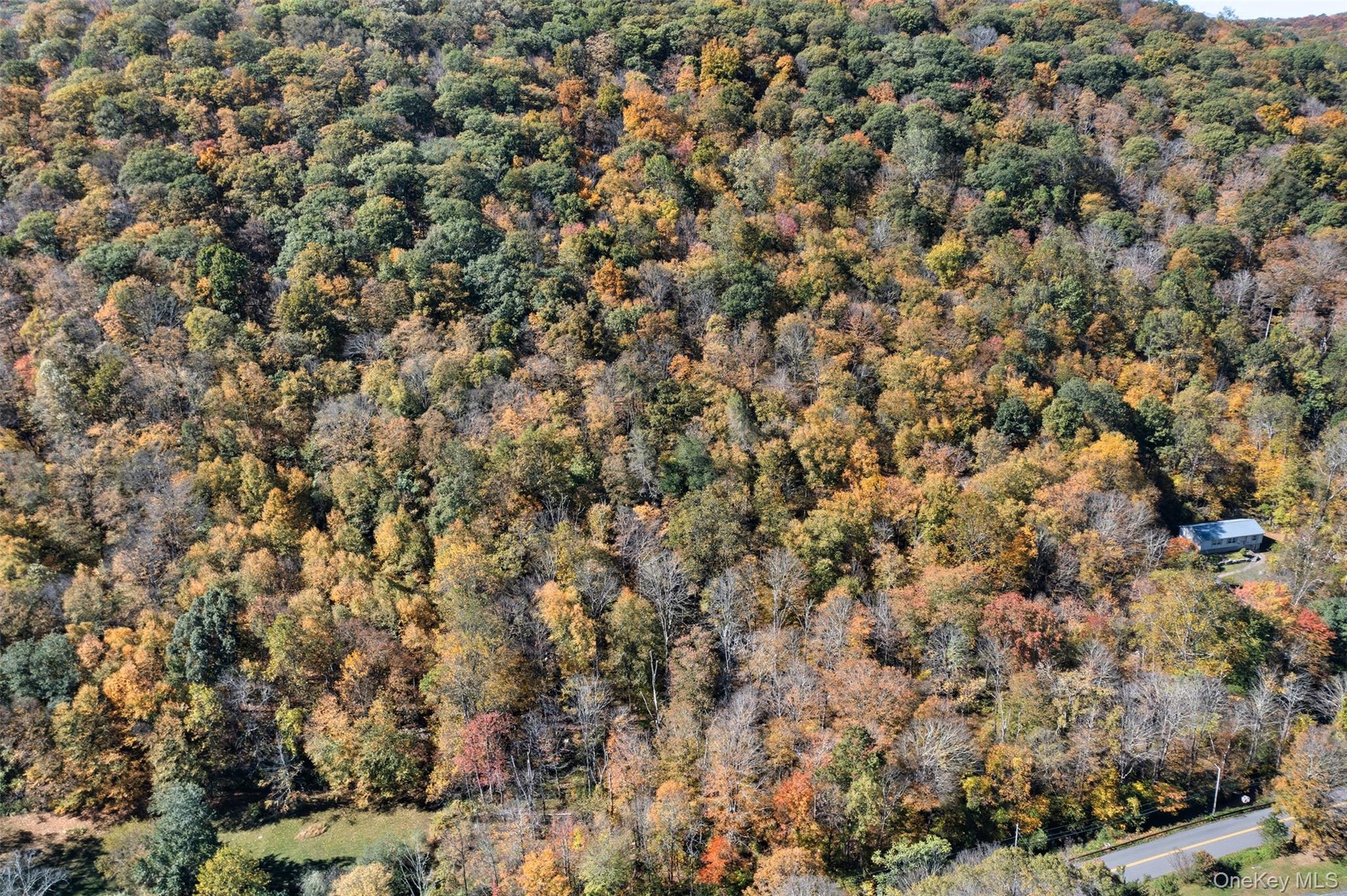 Wiccopee Road, Putnam Valley, NY 10579