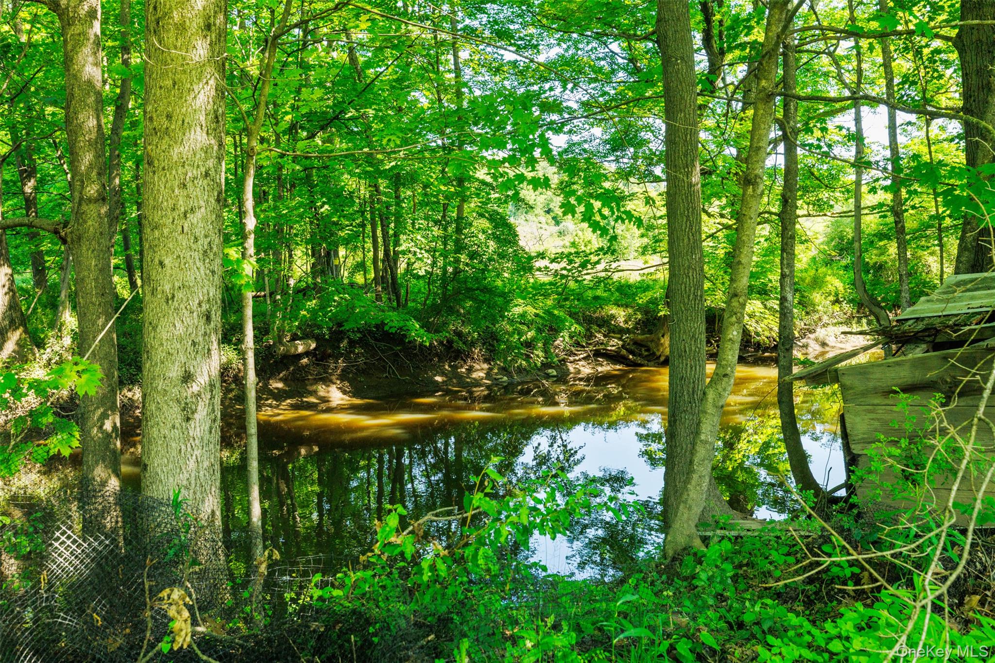 TBD Pompeys Cave Road, High Falls, NY 12440