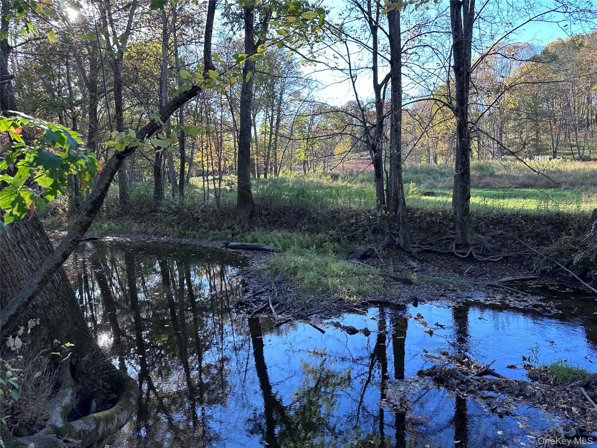 TBD Pompeys Cave Road, High Falls, NY 12440