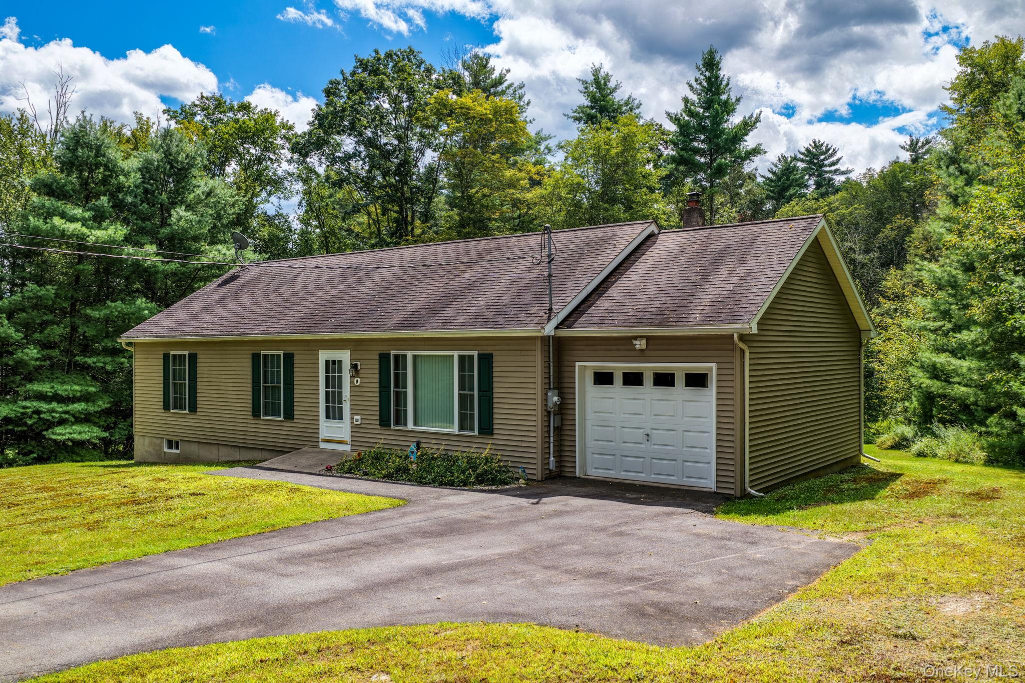 9 W Peenpack Trail, Sparrowbush, NY 12780