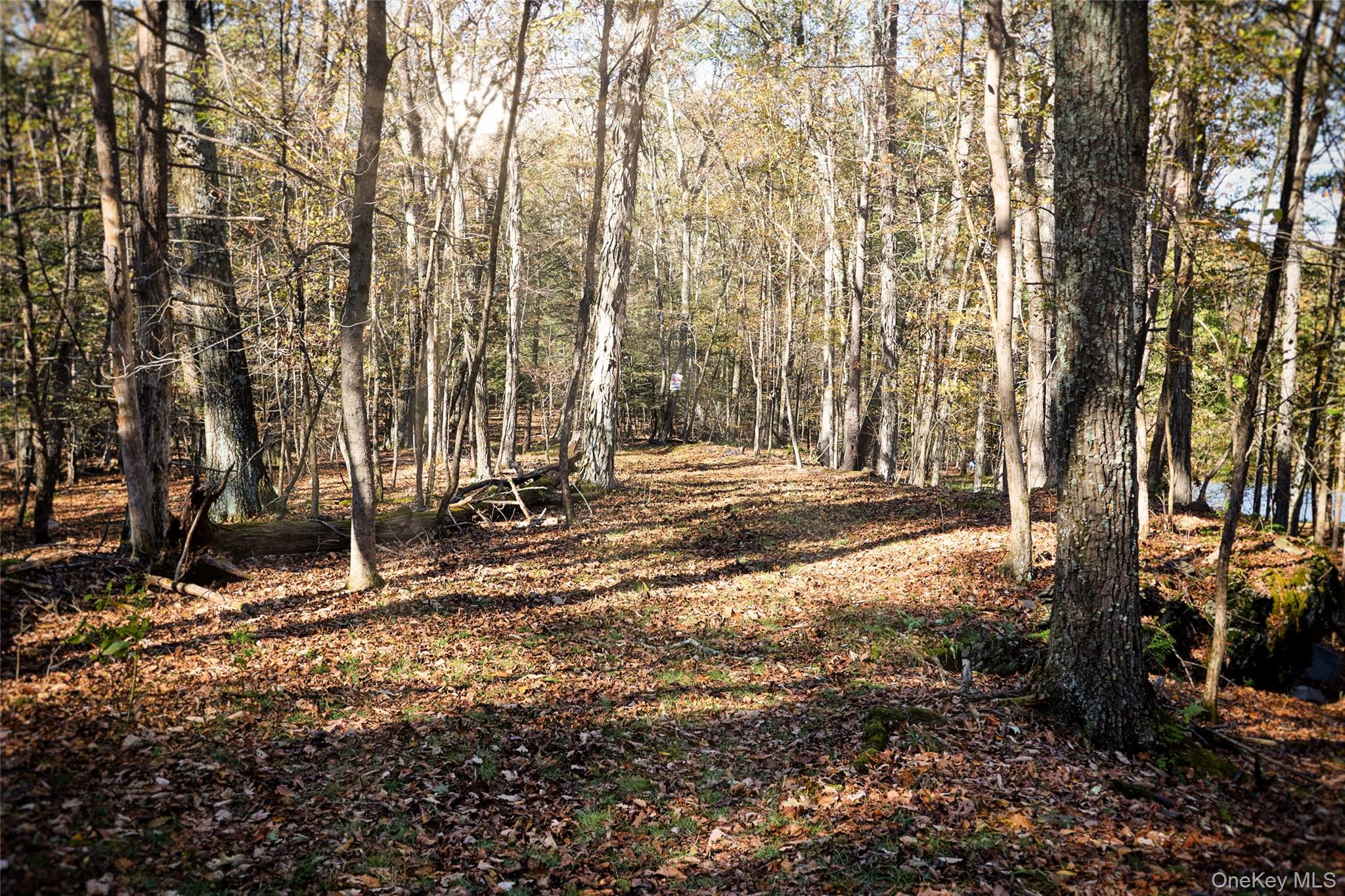 O Band Camp Road, Saugerties, NY 12477