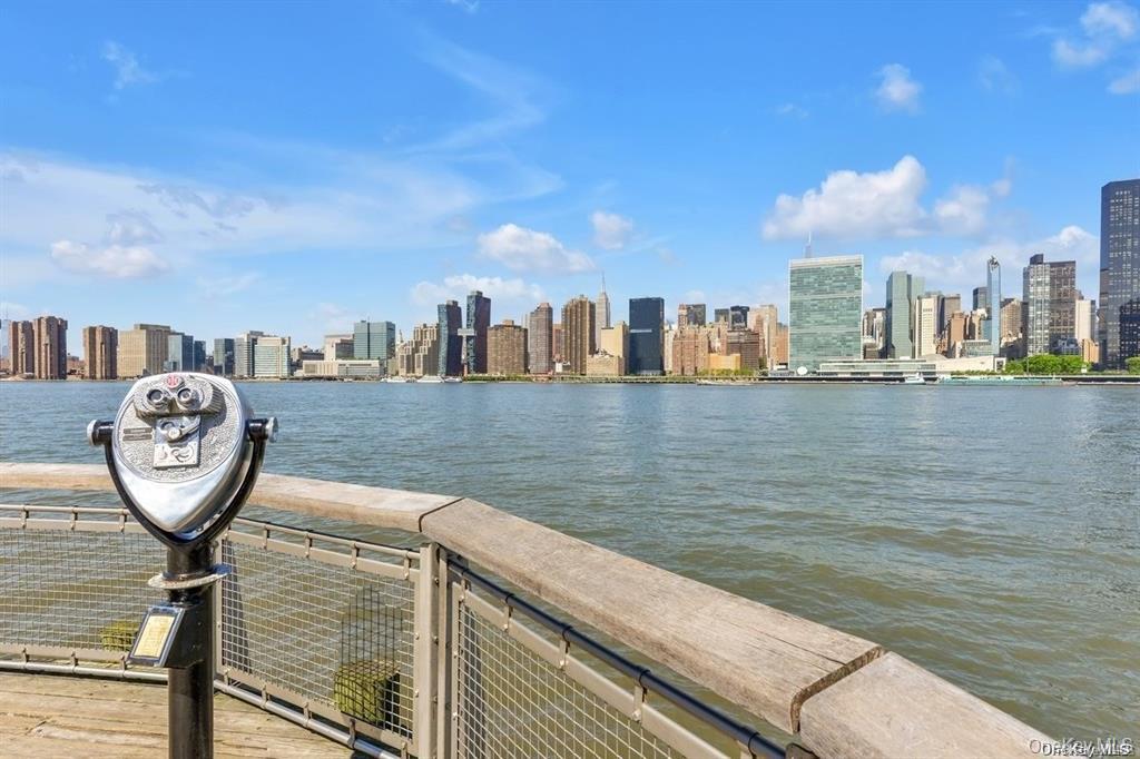 4-74 48th Avenue # 17J, Long Island City, NY 11109