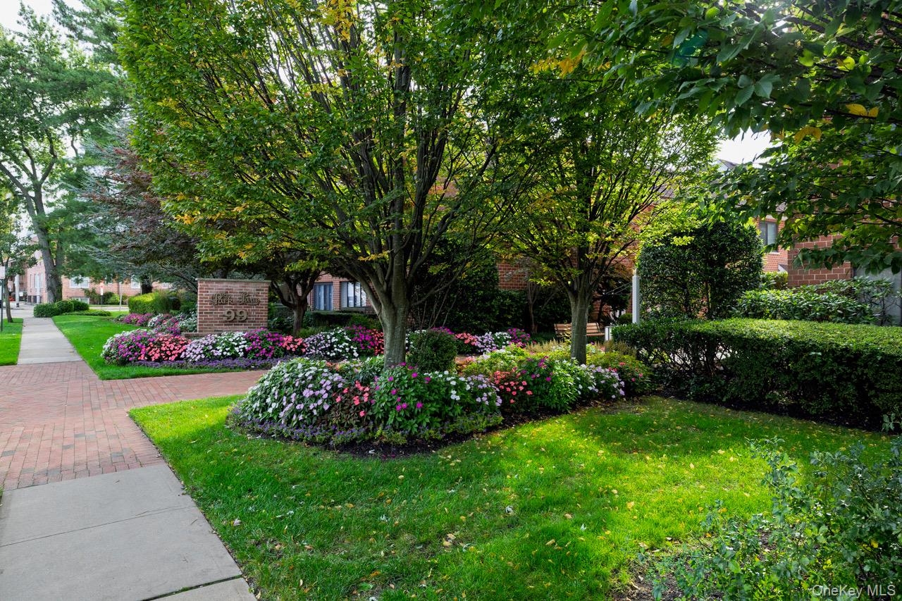 99 S Park Avenue S # 122, Rockville Centre, NY 11570