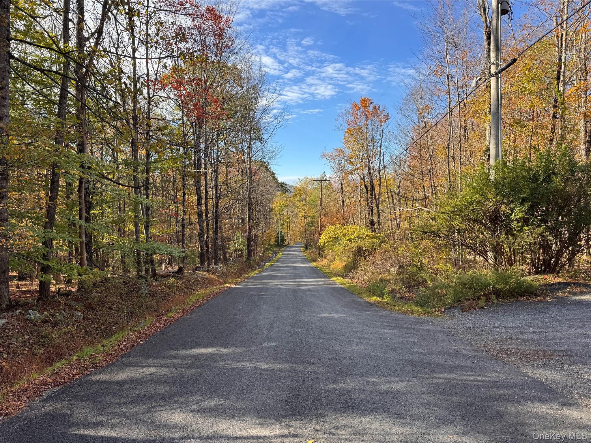 TBD Cross Patch Road, Willow, NY 12498