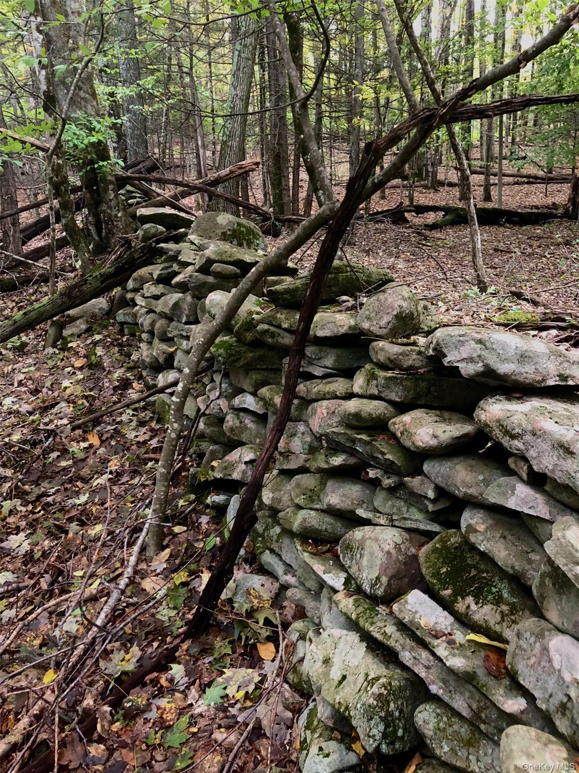 TBD Cross Patch Road, Willow, NY 12498