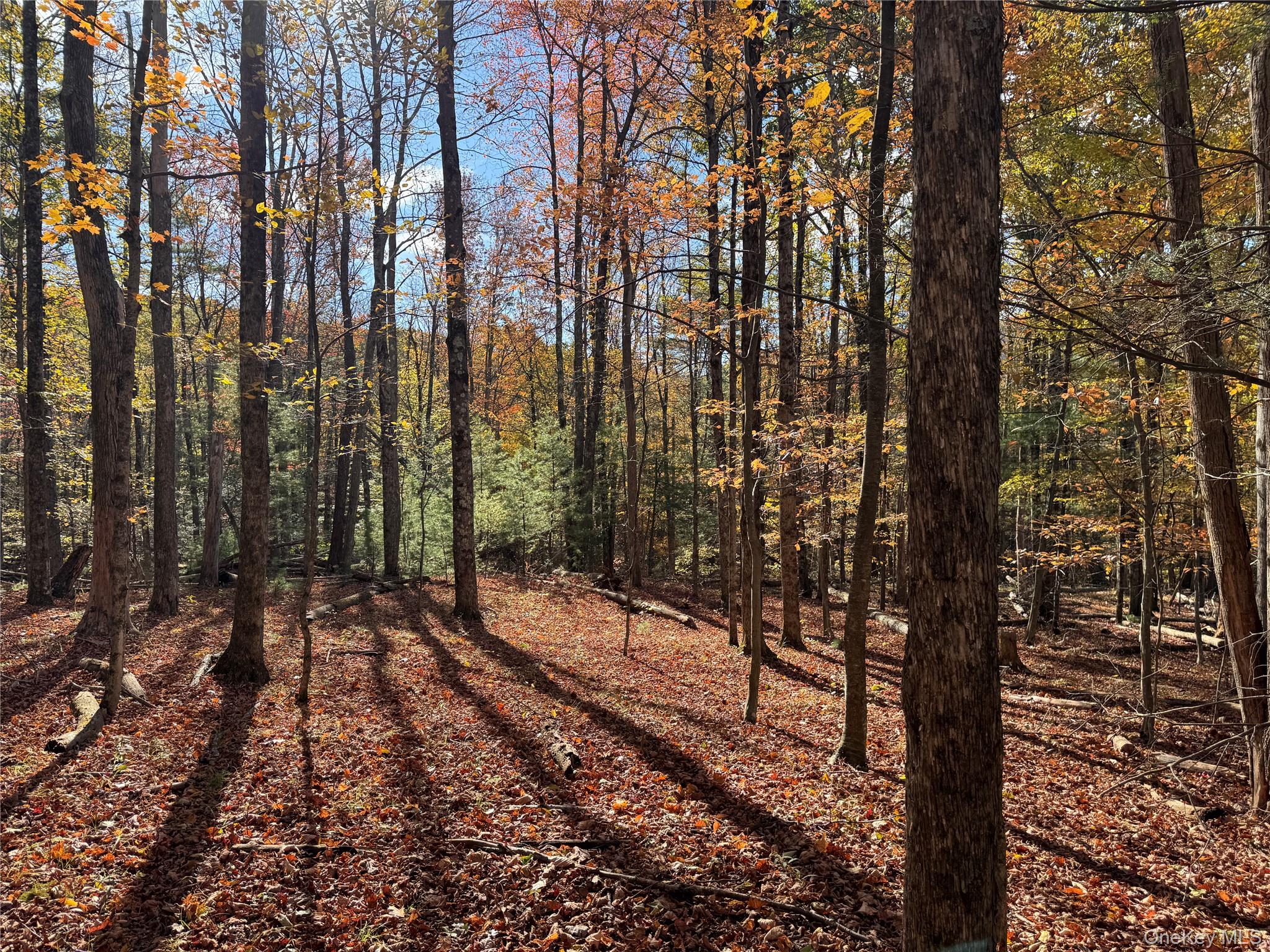 TBD Cross Patch Road, Willow, NY 12498