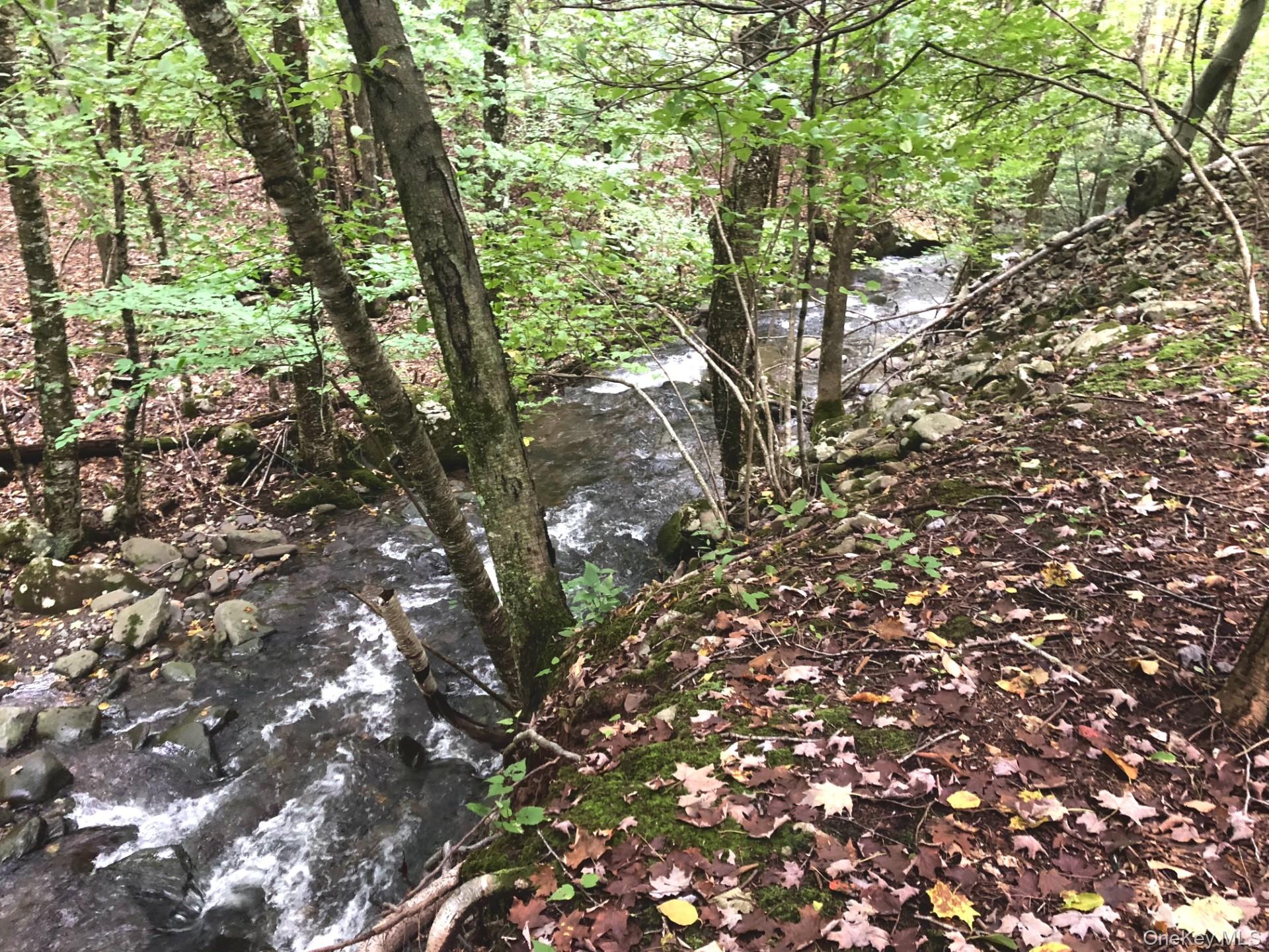 TBD Cross Patch Road, Willow, NY 12498