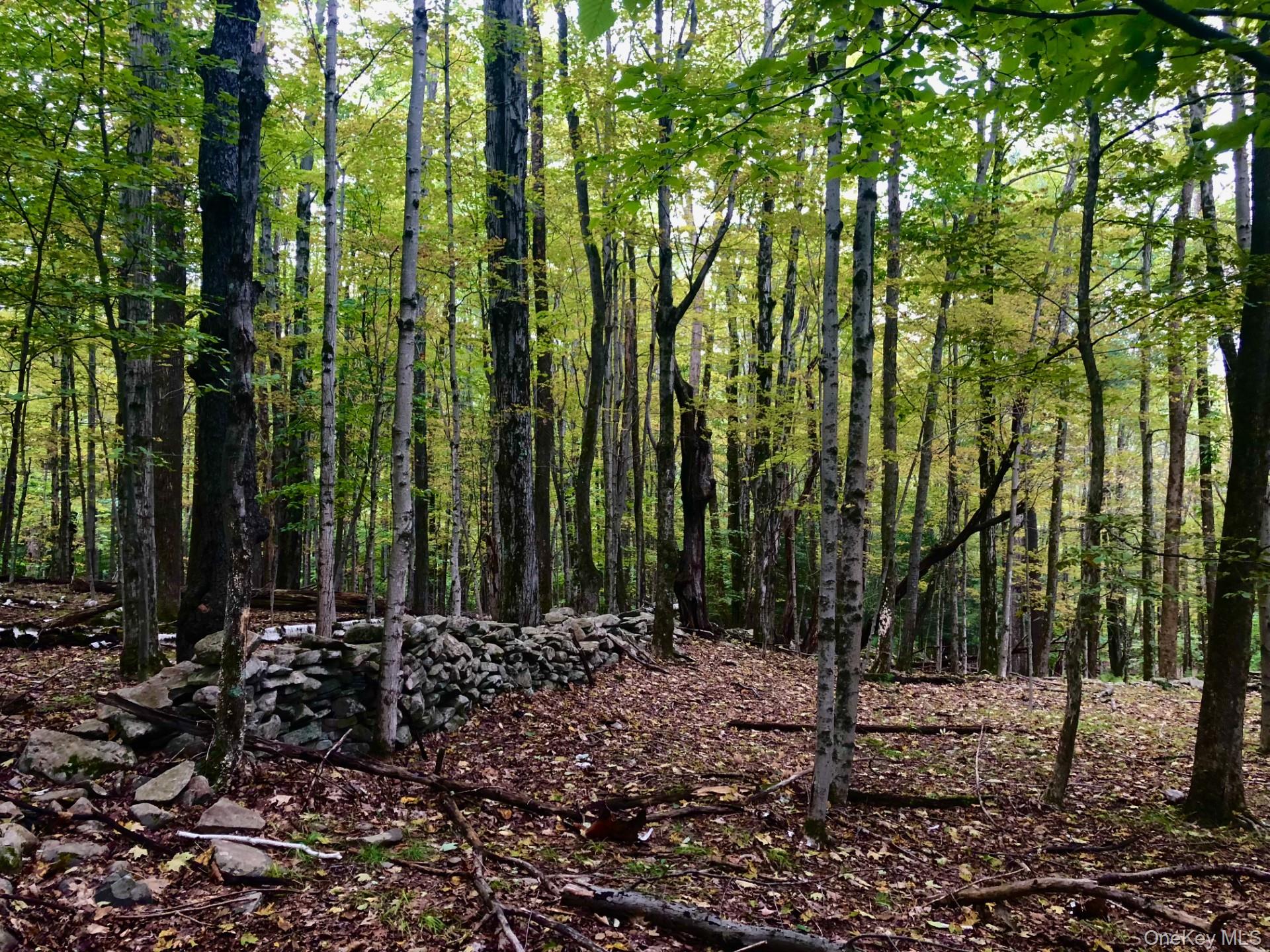 TBD Cross Patch Road, Willow, NY 12498