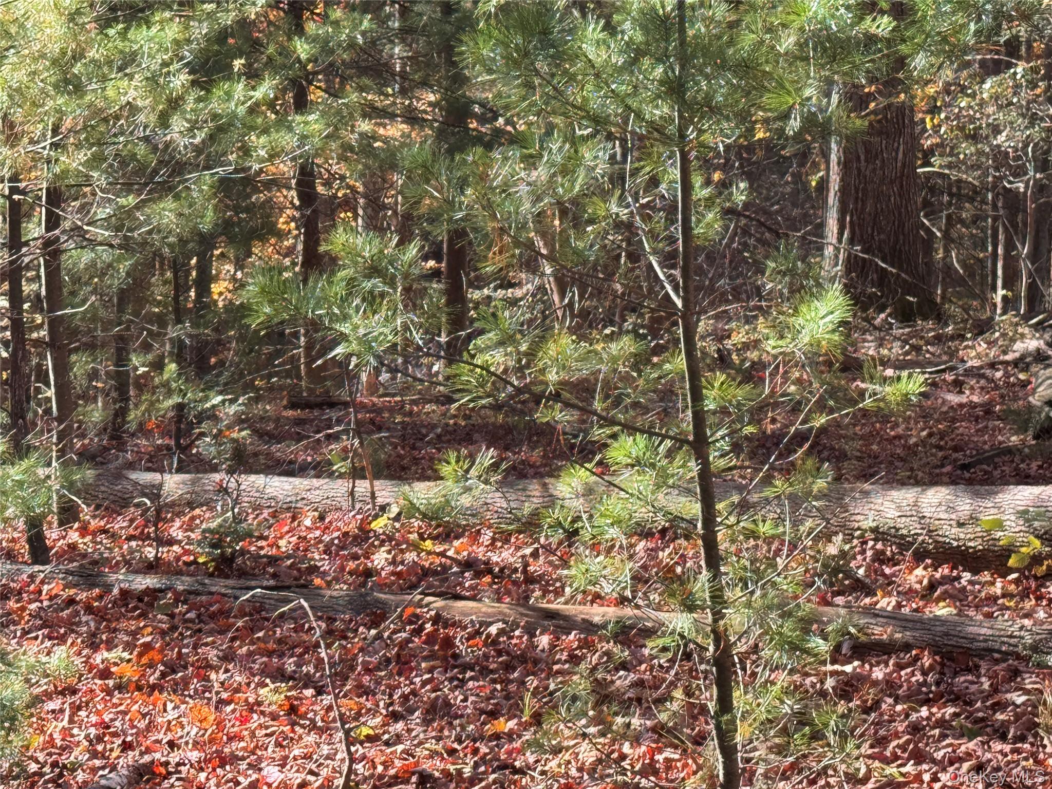 TBD Cross Patch Road, Willow, NY 12498