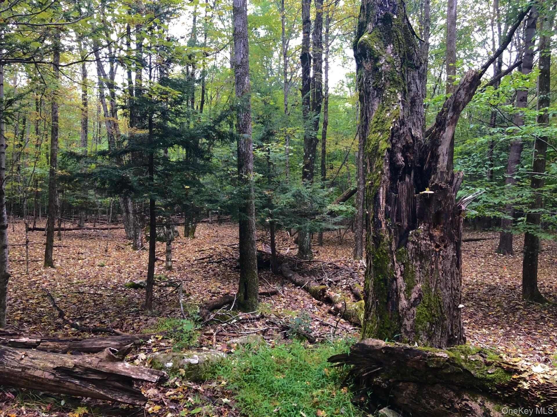 TBD Cross Patch Road, Willow, NY 12498