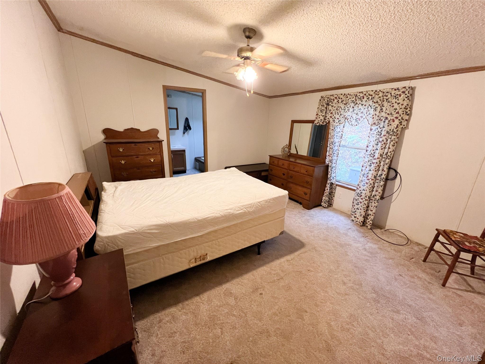 509 Burnwood Road, East Branch, NY 13756