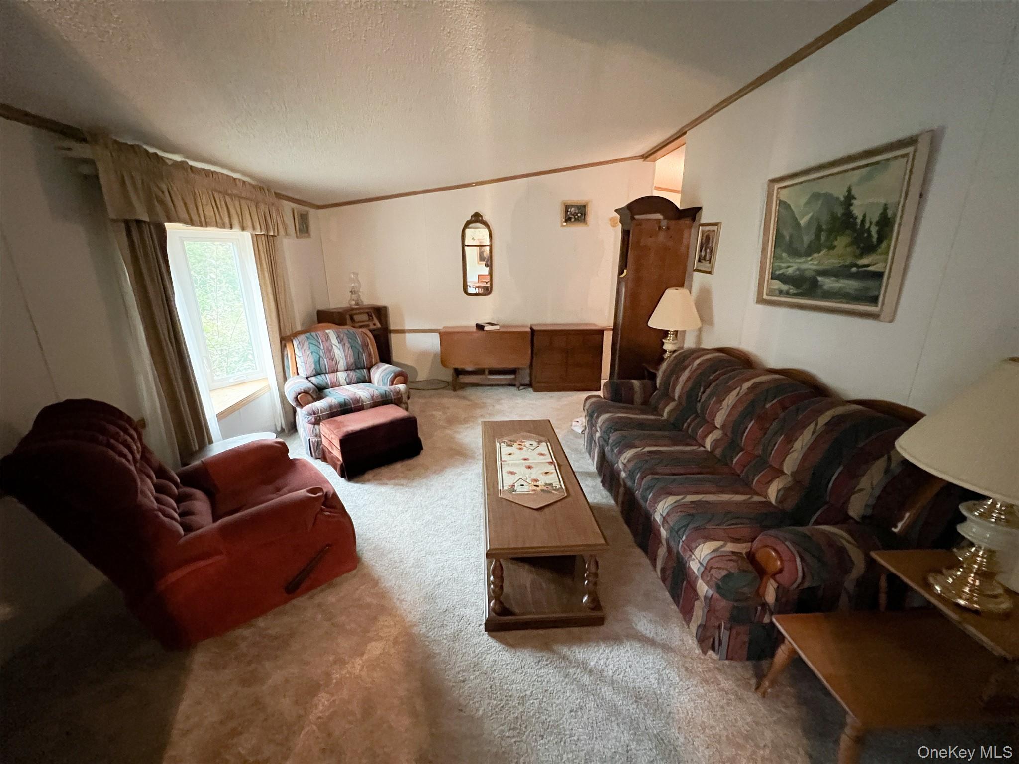 509 Burnwood Road, East Branch, NY 13756