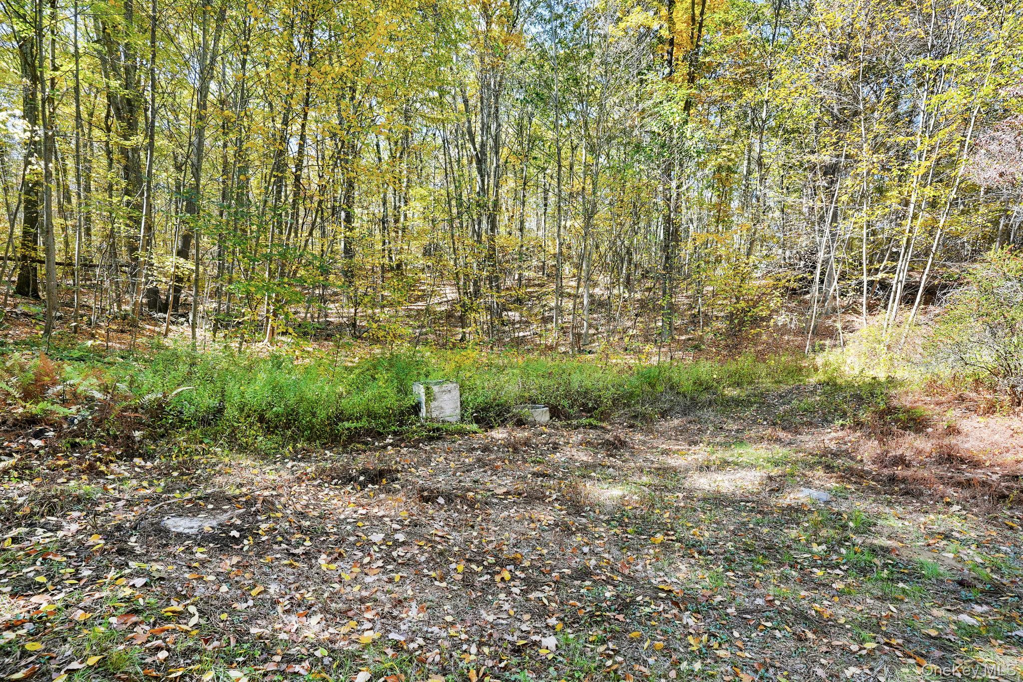 2 Coburn Road W, Sherman CT, Call Listing Agent, CT