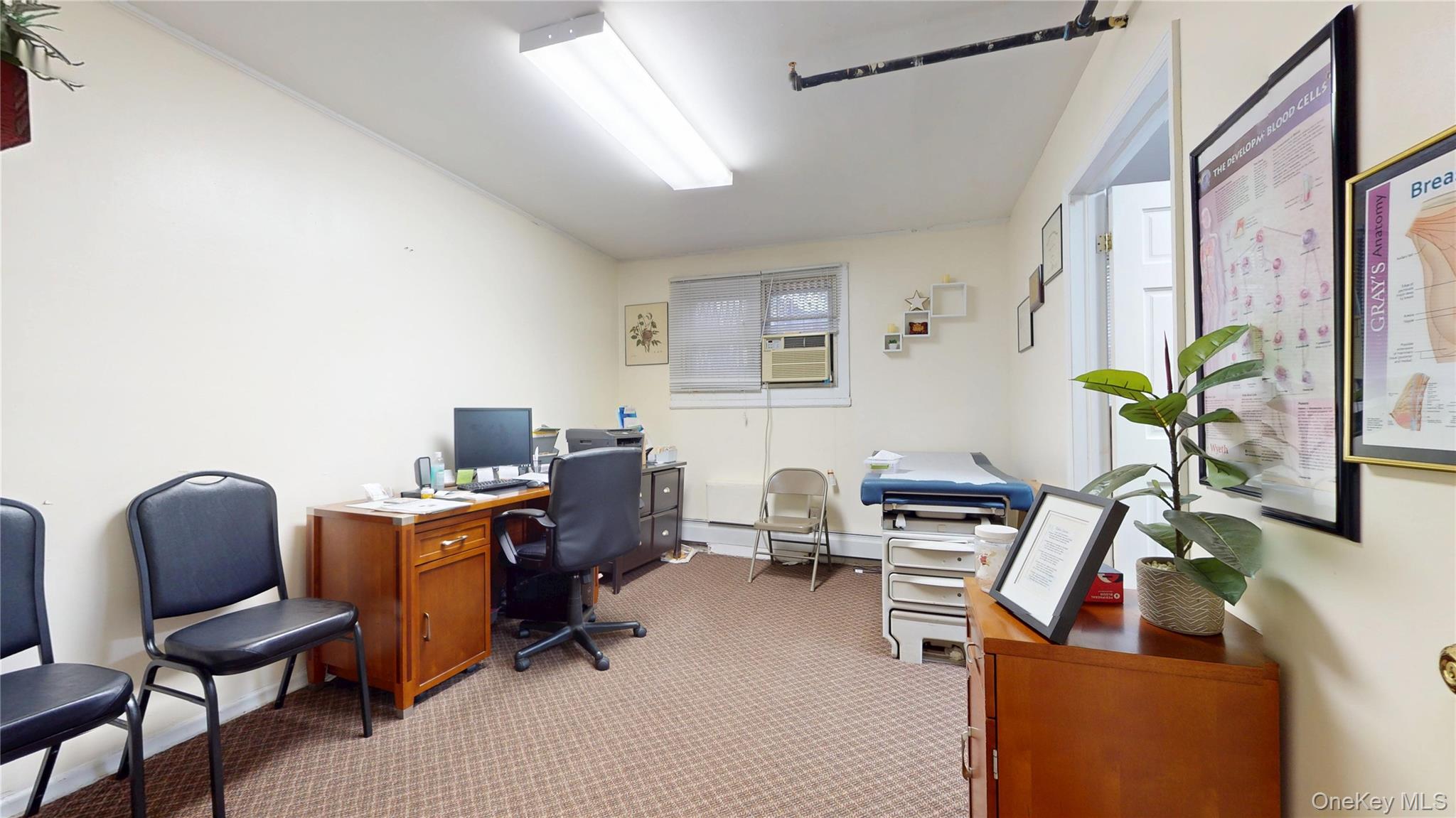 566 Schenectady Avenue, Brooklyn, NY 11203