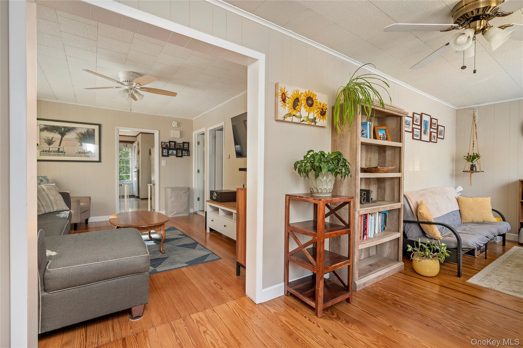 32 Nostrand Street, Farmingdale, NY 11735