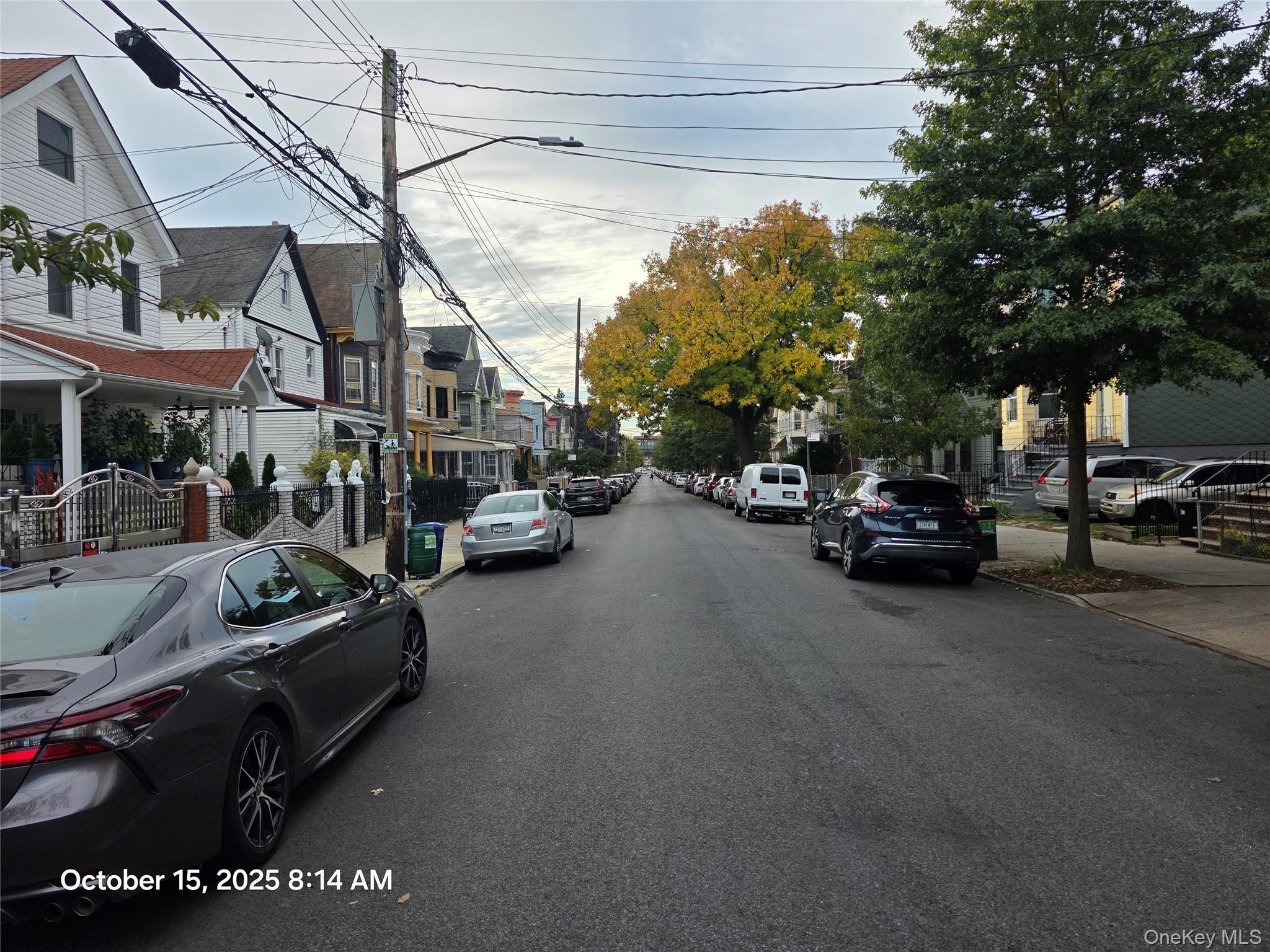 117 Cleveland Street, Brooklyn, NY 11208