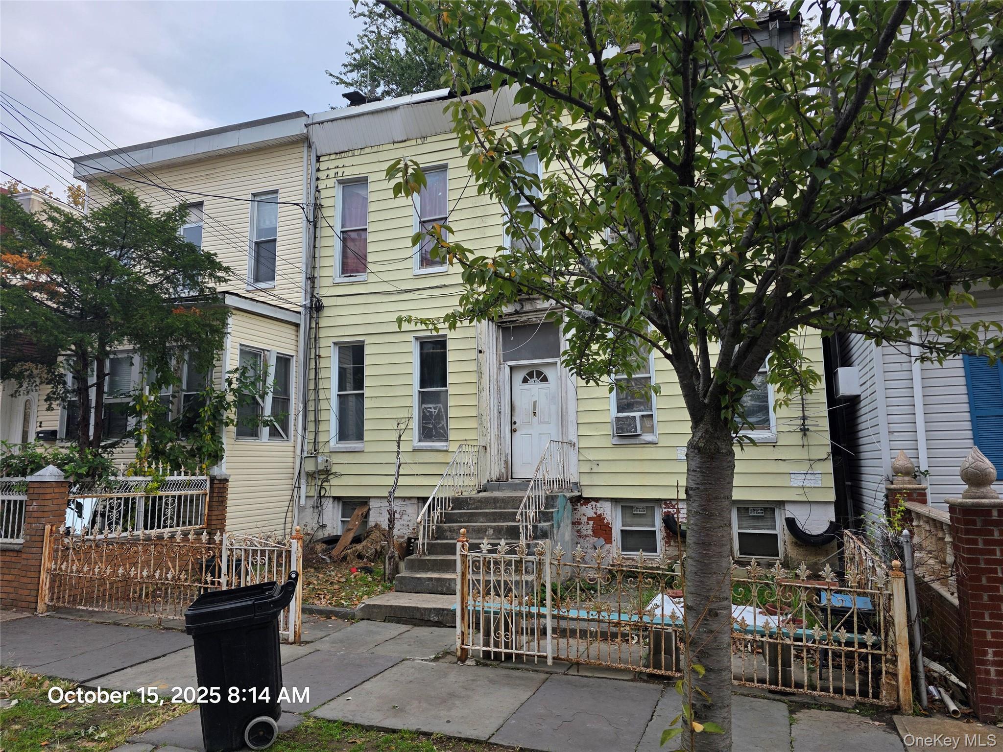 117 Cleveland Street, Brooklyn, NY 11208