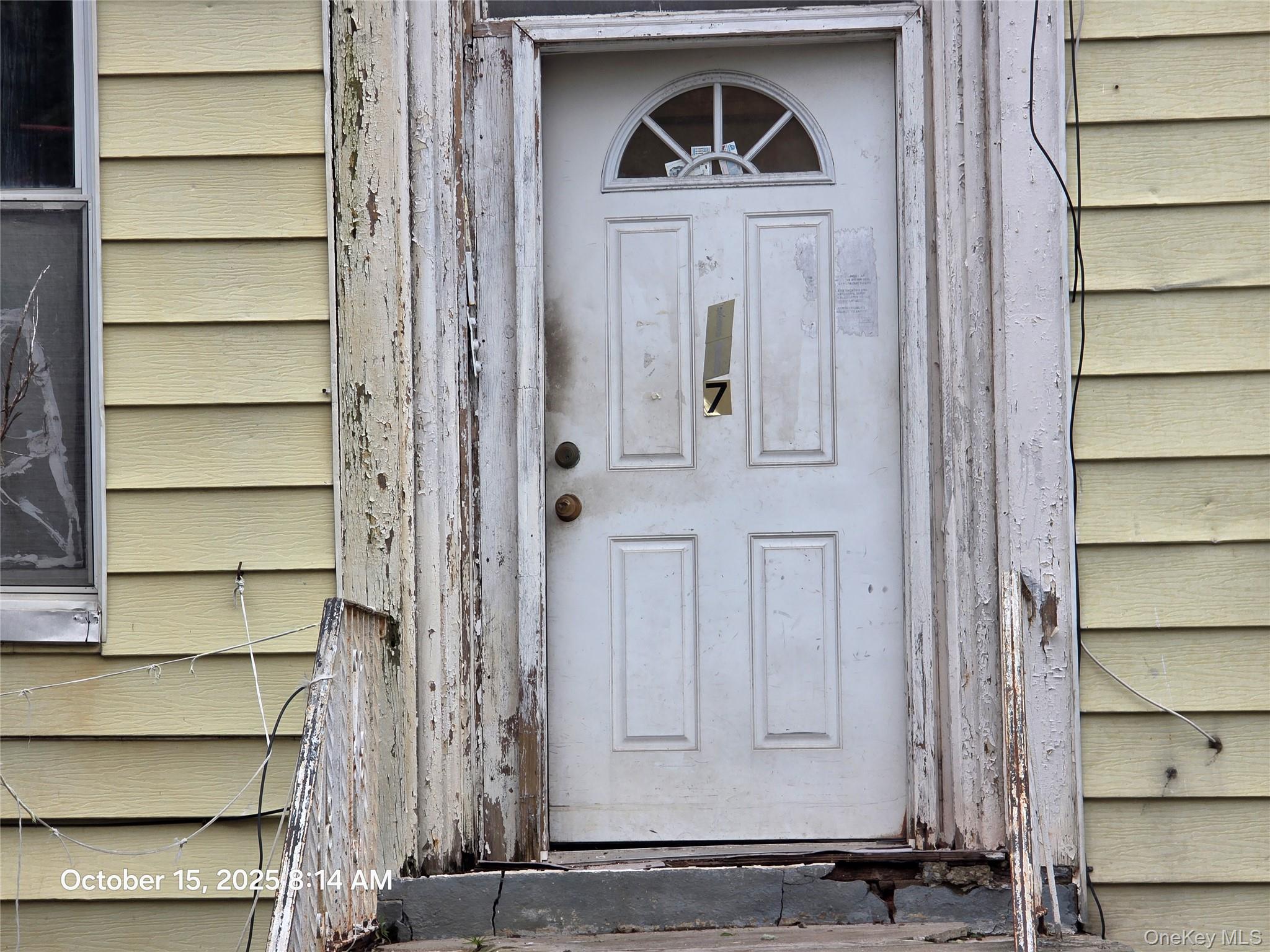 117 Cleveland Street, Brooklyn, NY 11208